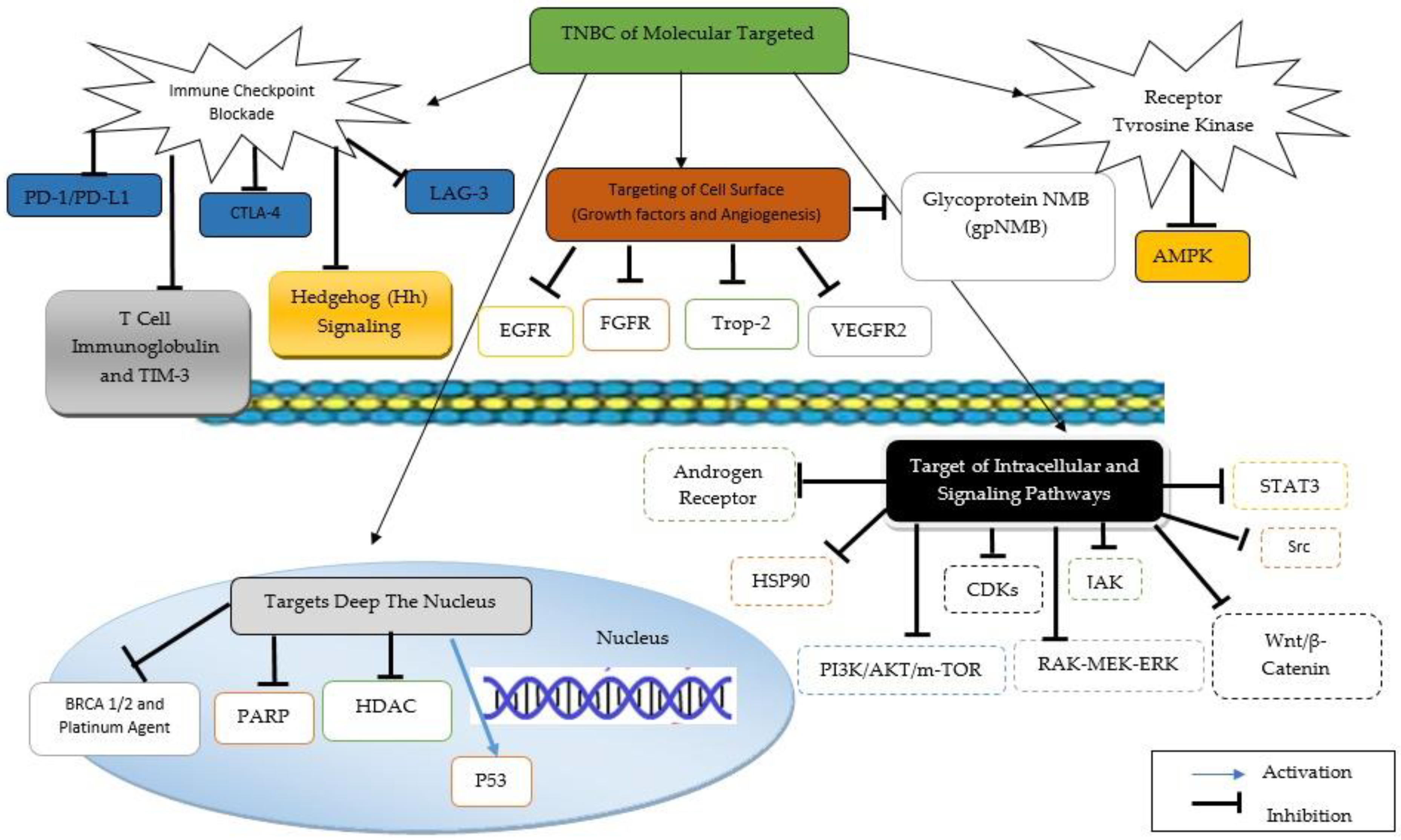 Molecules 27 03661 g002