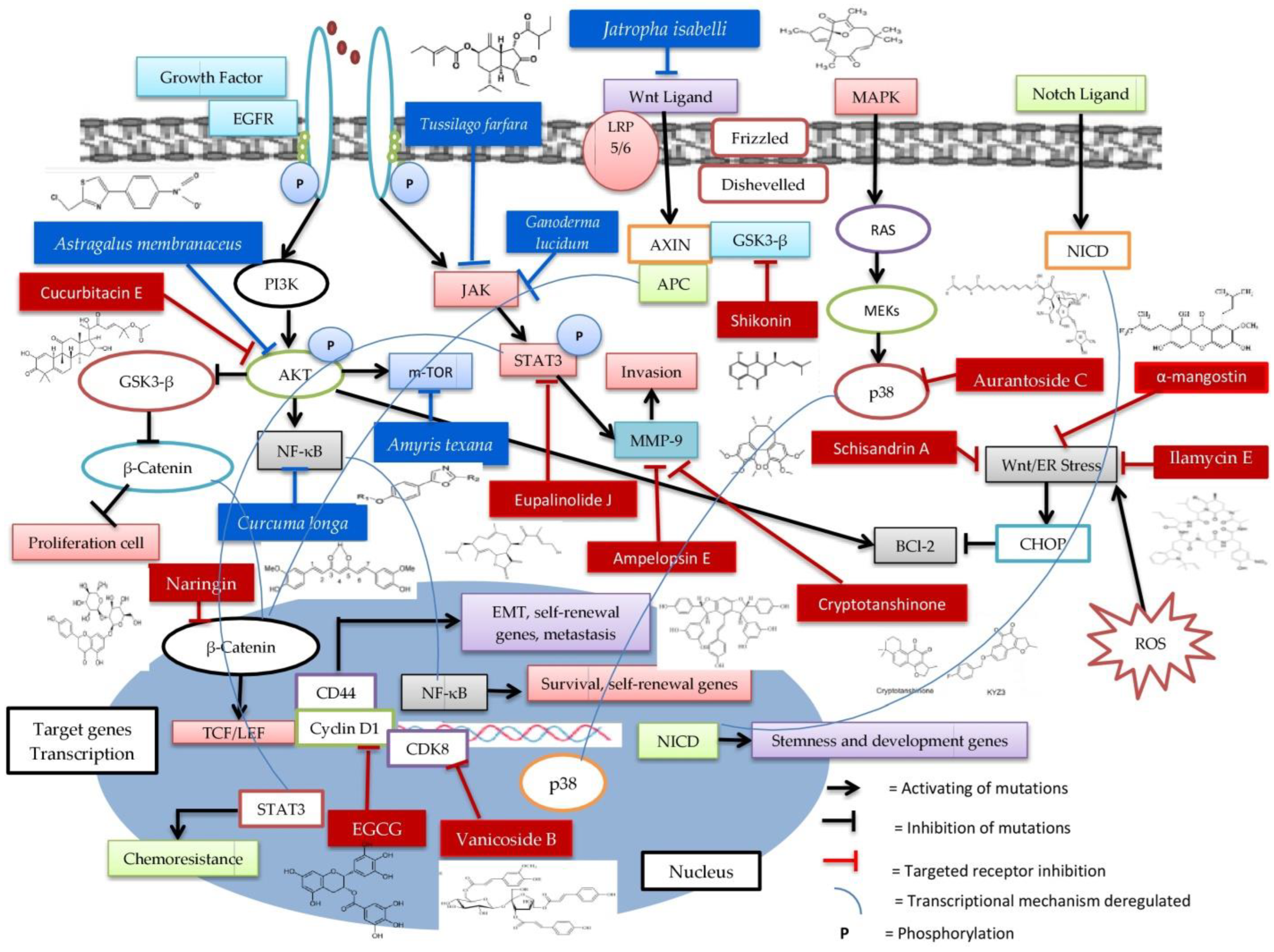 Molecules 27 03661 g004