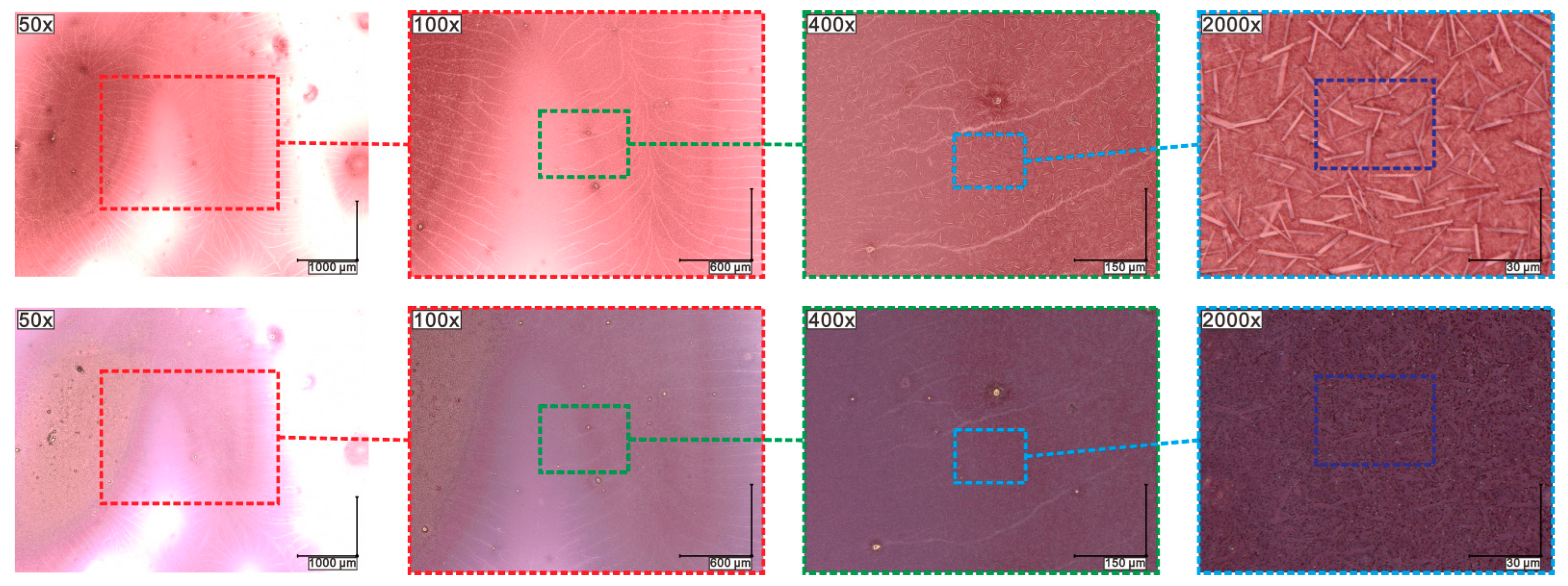 Molecules 27 03663 g007