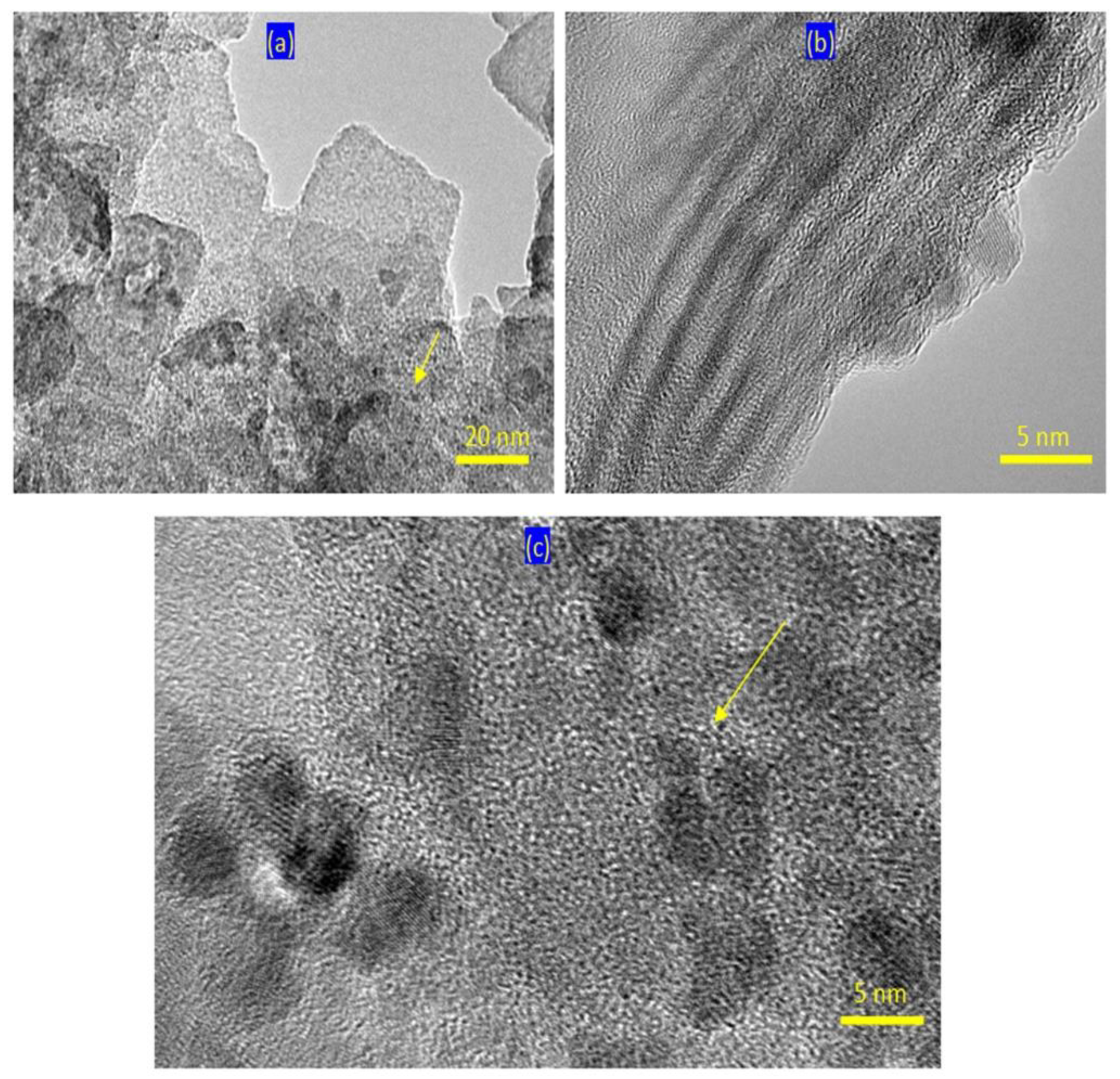 Molecules 27 03673 g003 Molecules 27 03673 g003