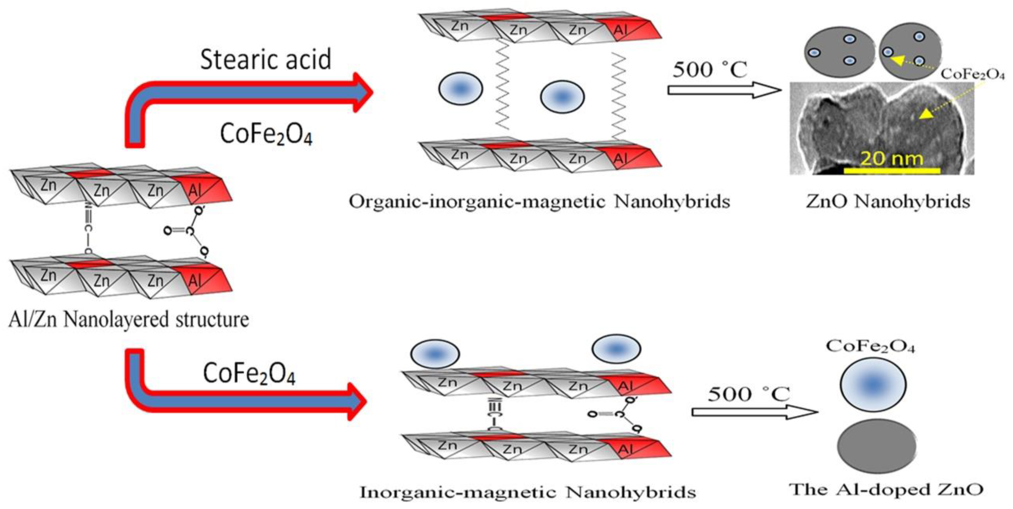 Molecules 27 03673 g010 Molecules 27 03673 g010