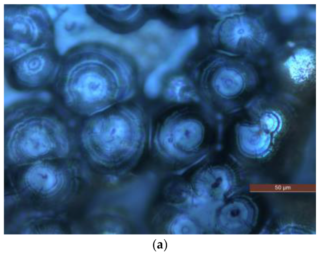 Molecules 27 03674 g002a