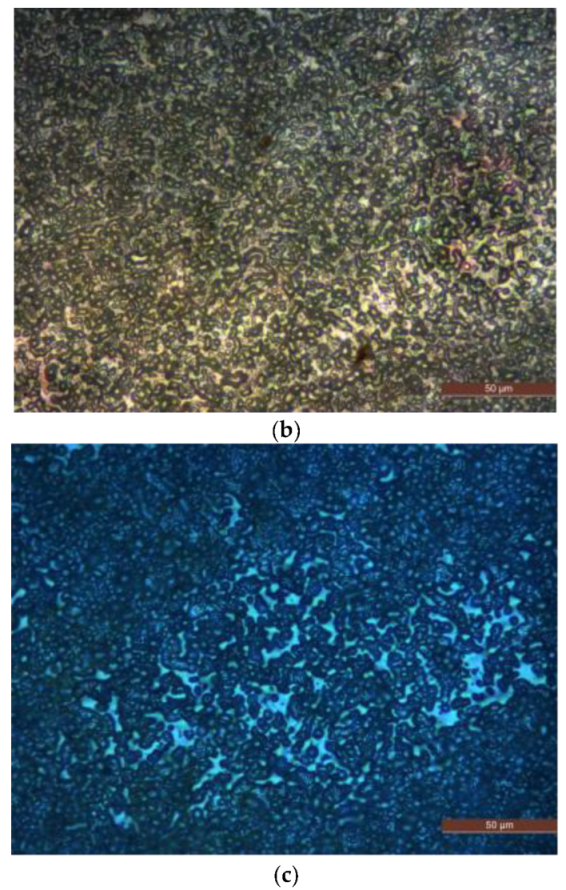 Molecules 27 03674 g002b