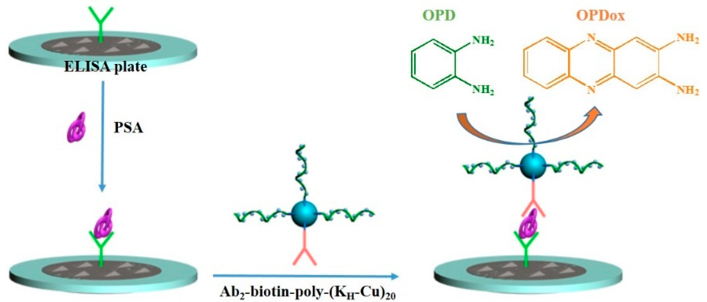 Molecules 27 03675 sch002 550