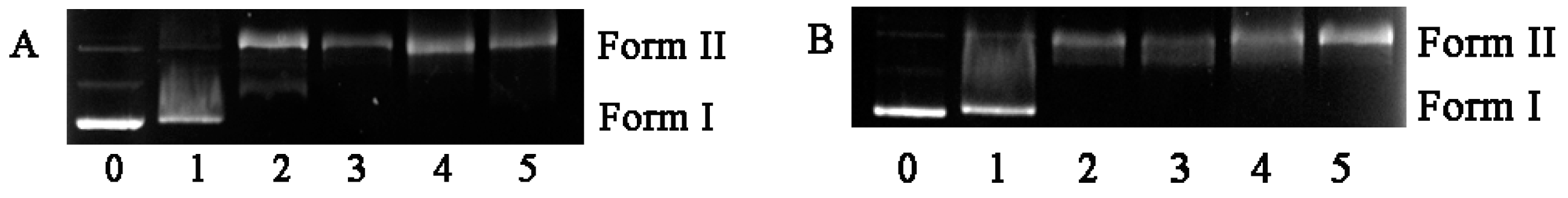 Molecules 27 03676 g007