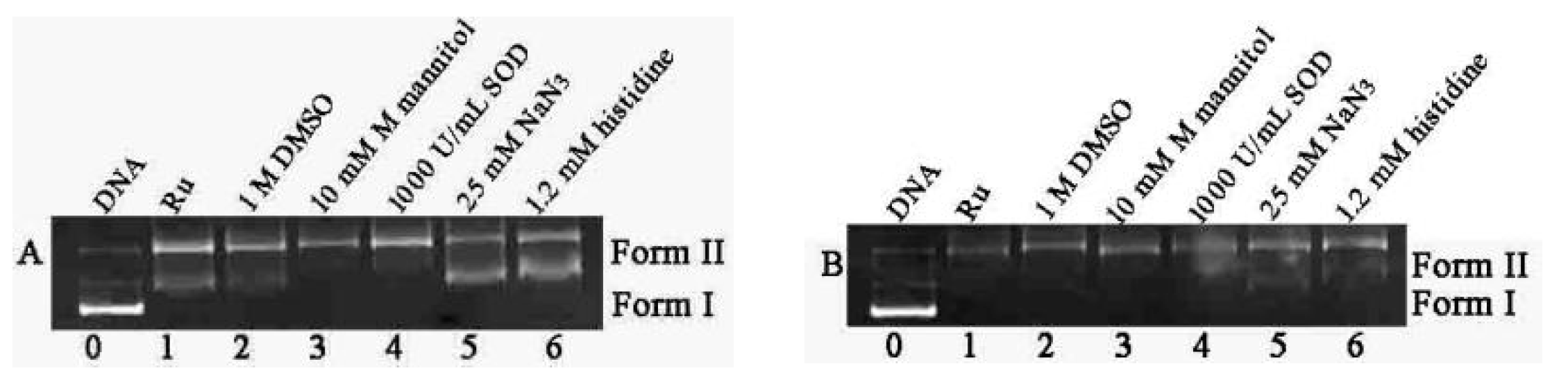 Molecules 27 03676 g008