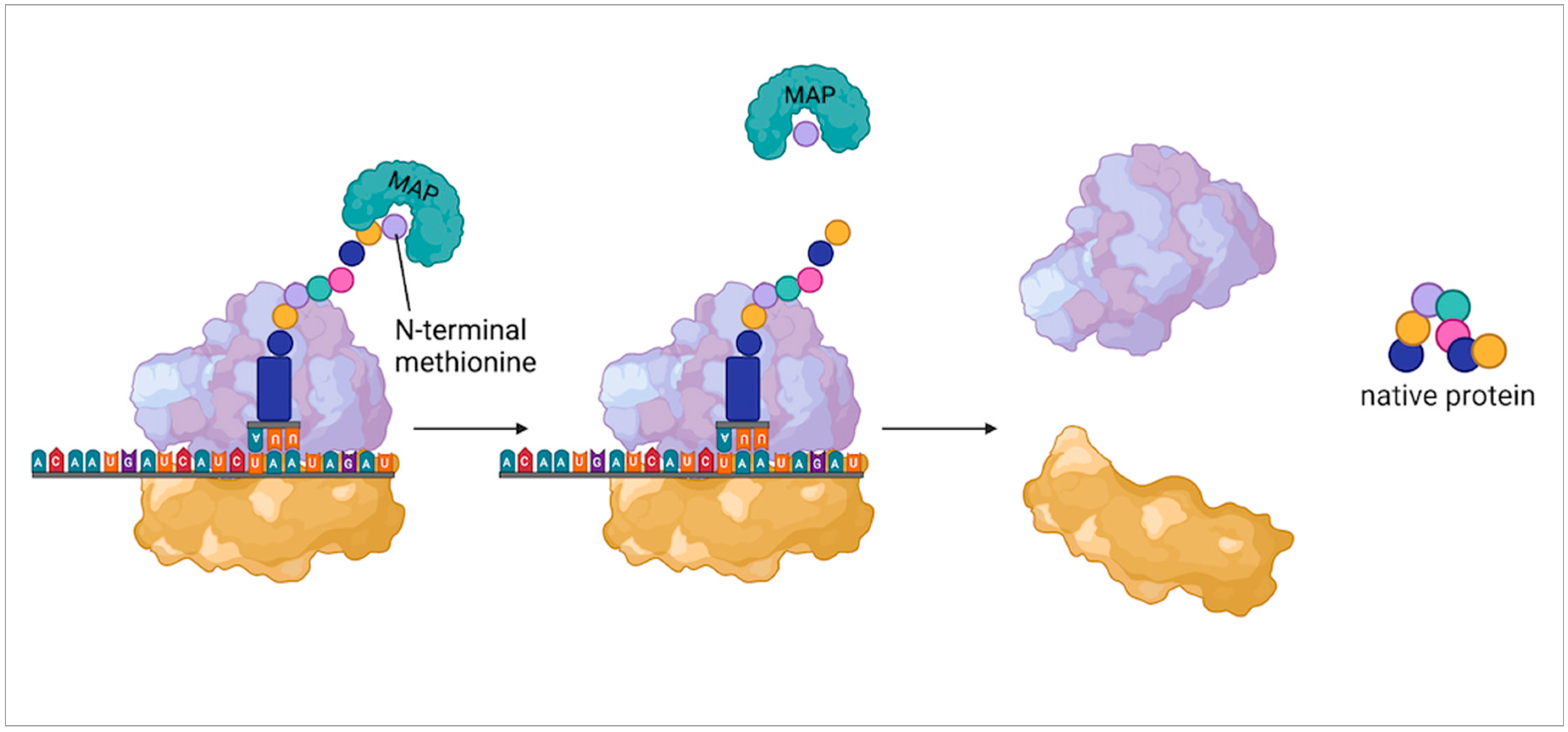 Molecules 27 03679 g002 Molecules 27 03679 g002