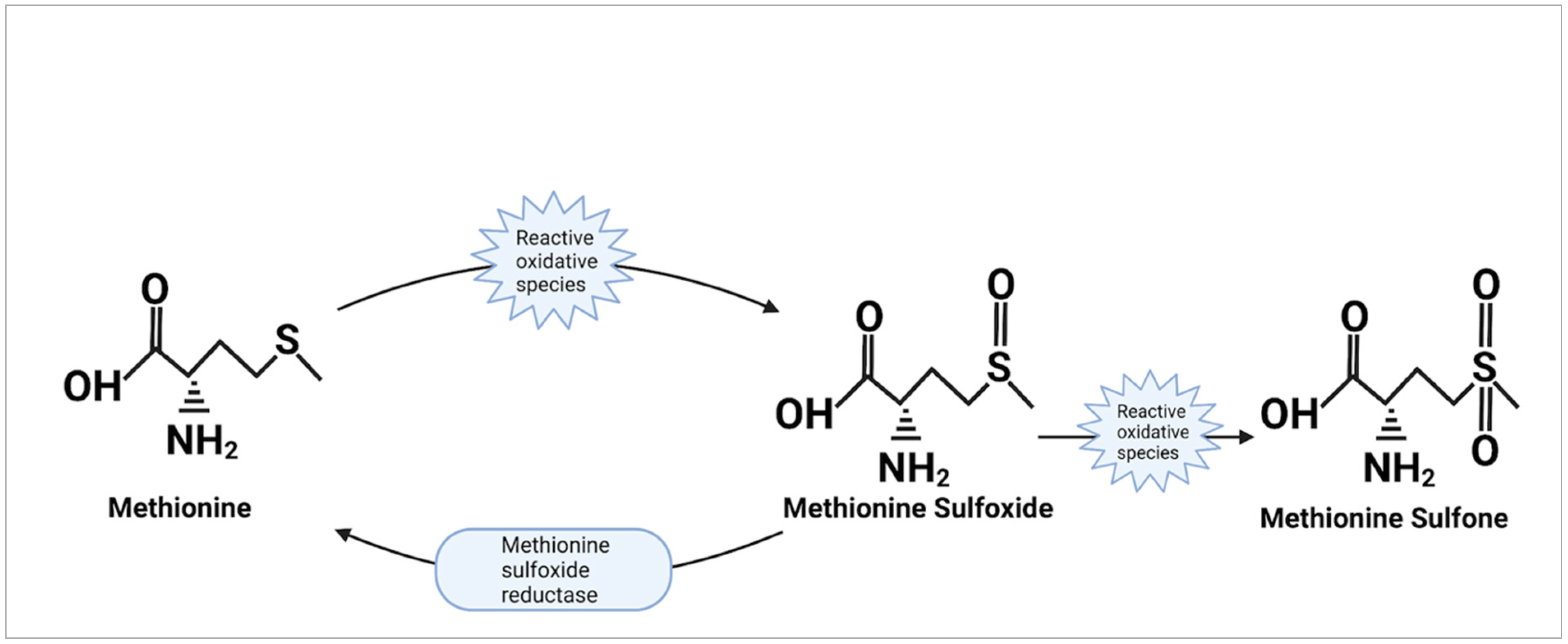Molecules 27 03679 g004 Molecules 27 03679 g004