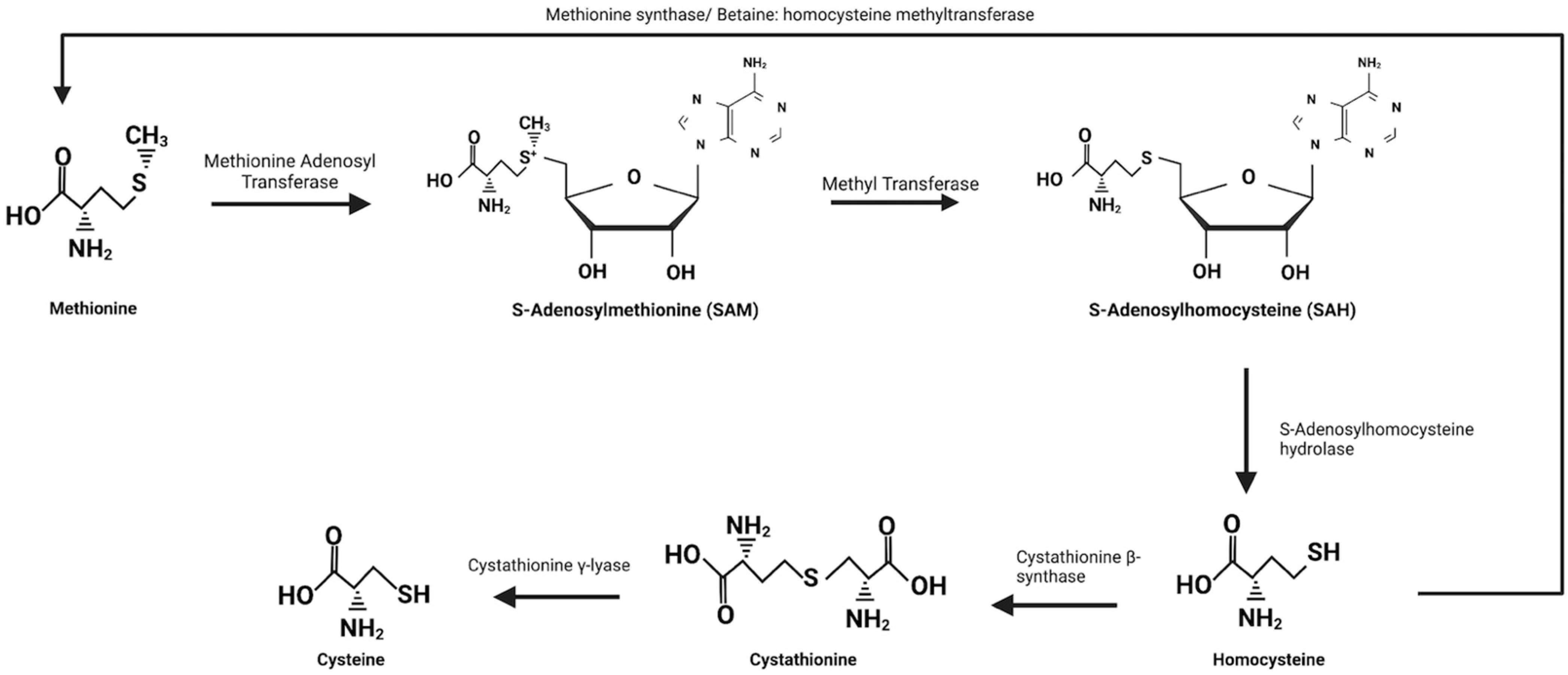 Molecules 27 03679 g006 Molecules 27 03679 g006