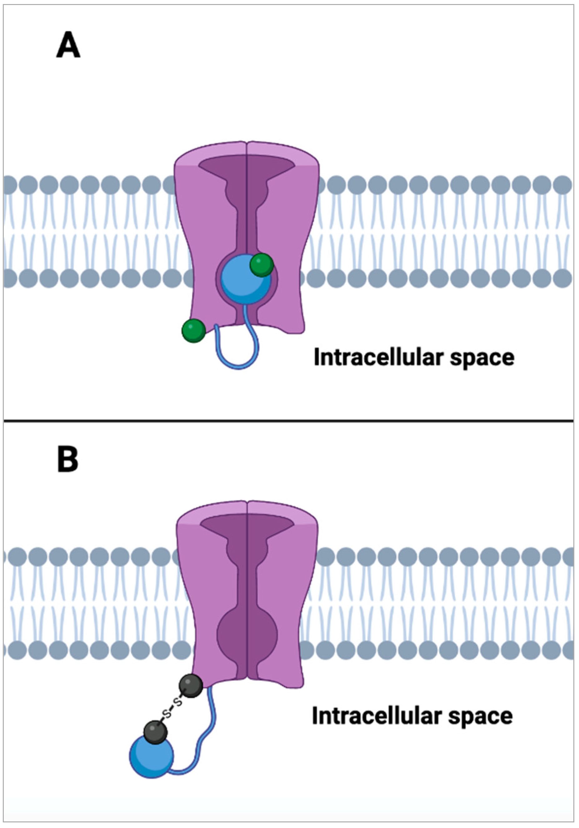Molecules 27 03679 g007 Molecules 27 03679 g007