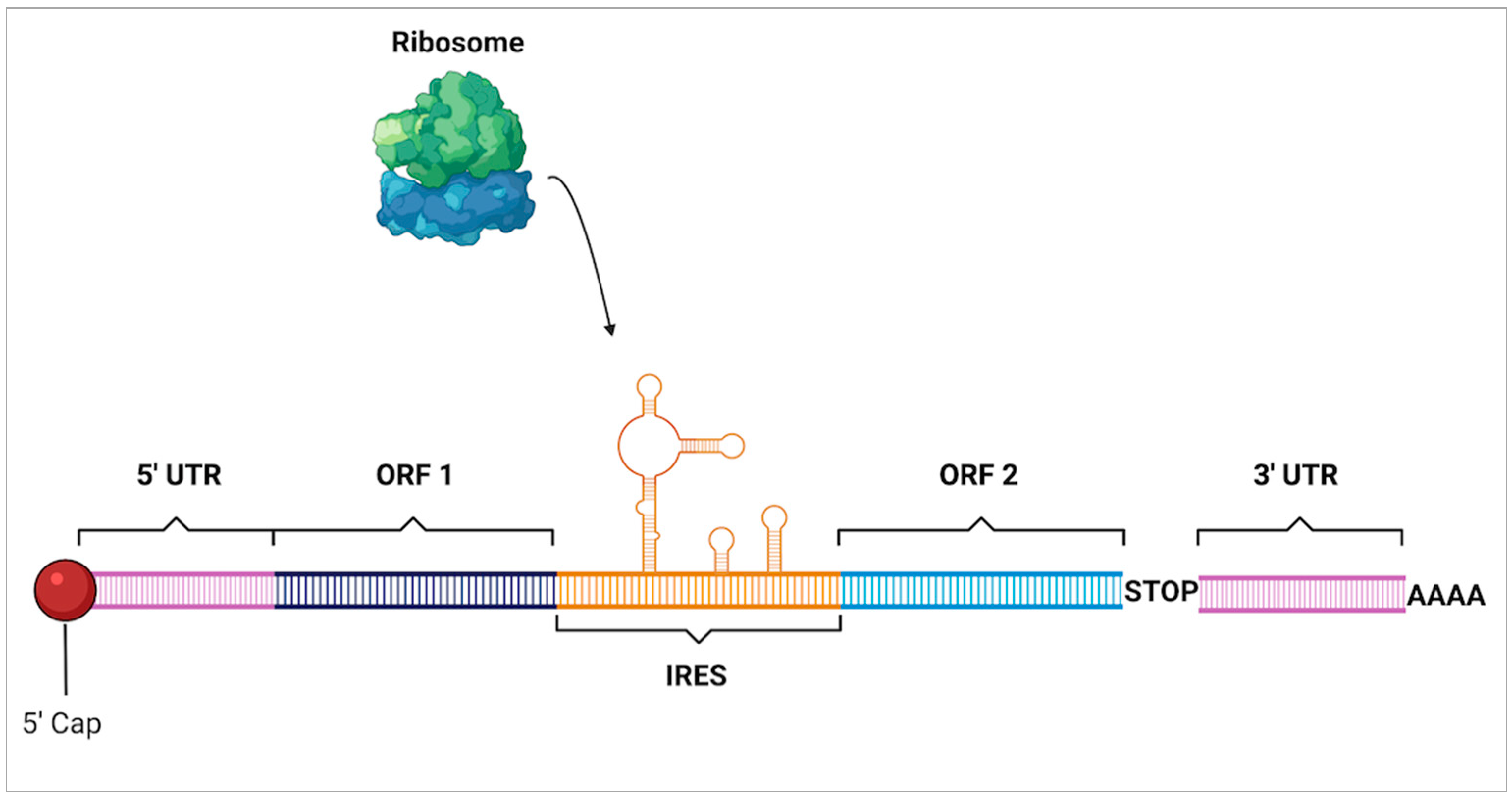 Molecules 27 03679 g009 Molecules 27 03679 g009