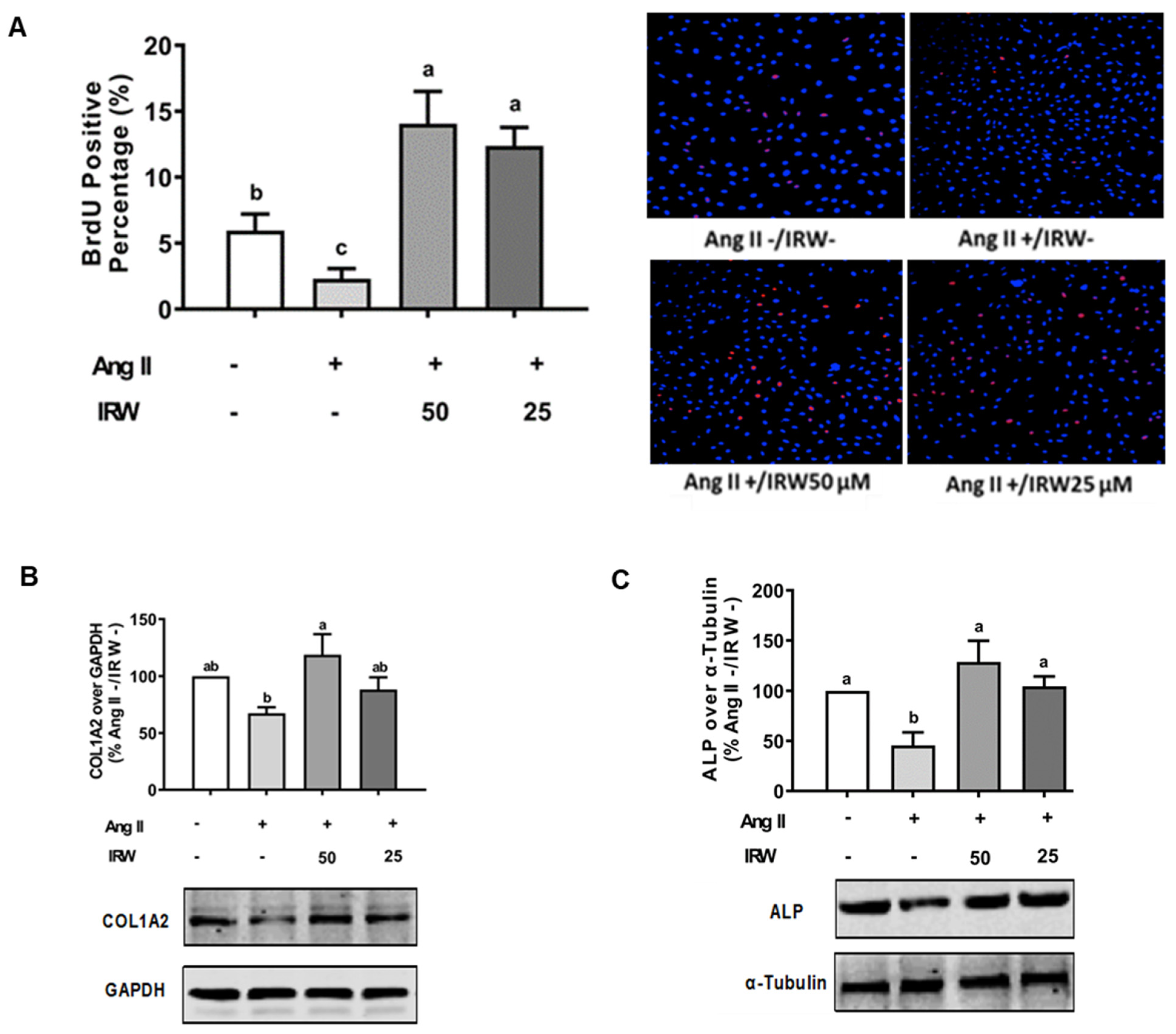 Molecules 27 03684 g001a 550