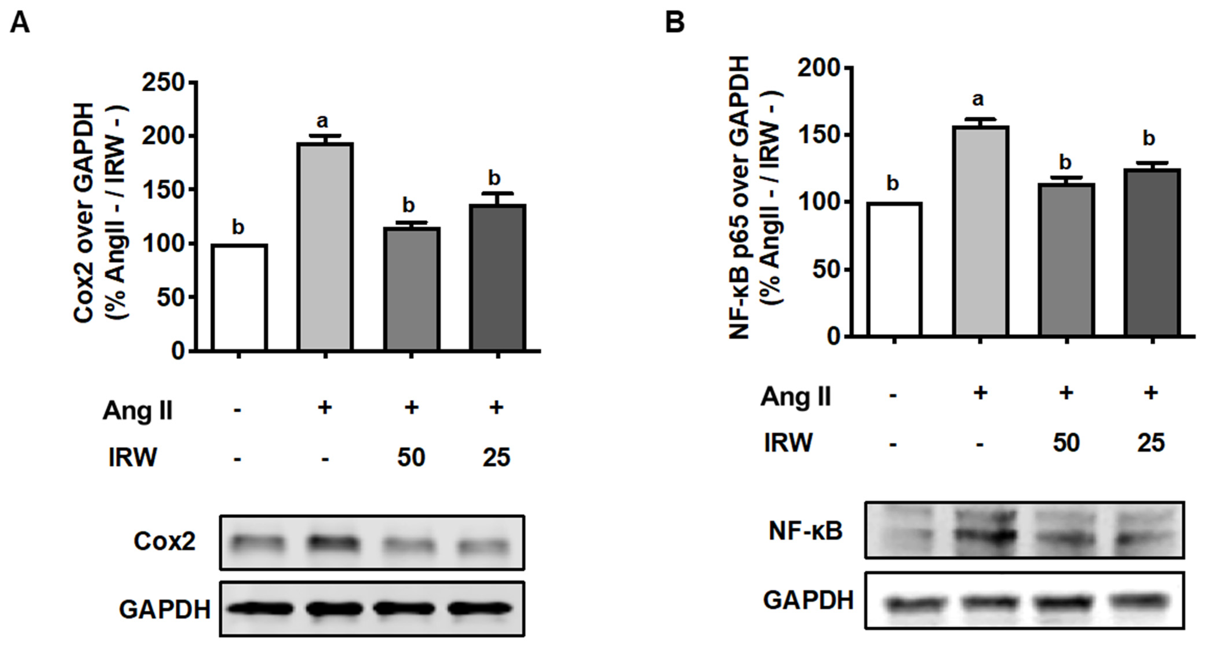 Molecules 27 03684 g004 550