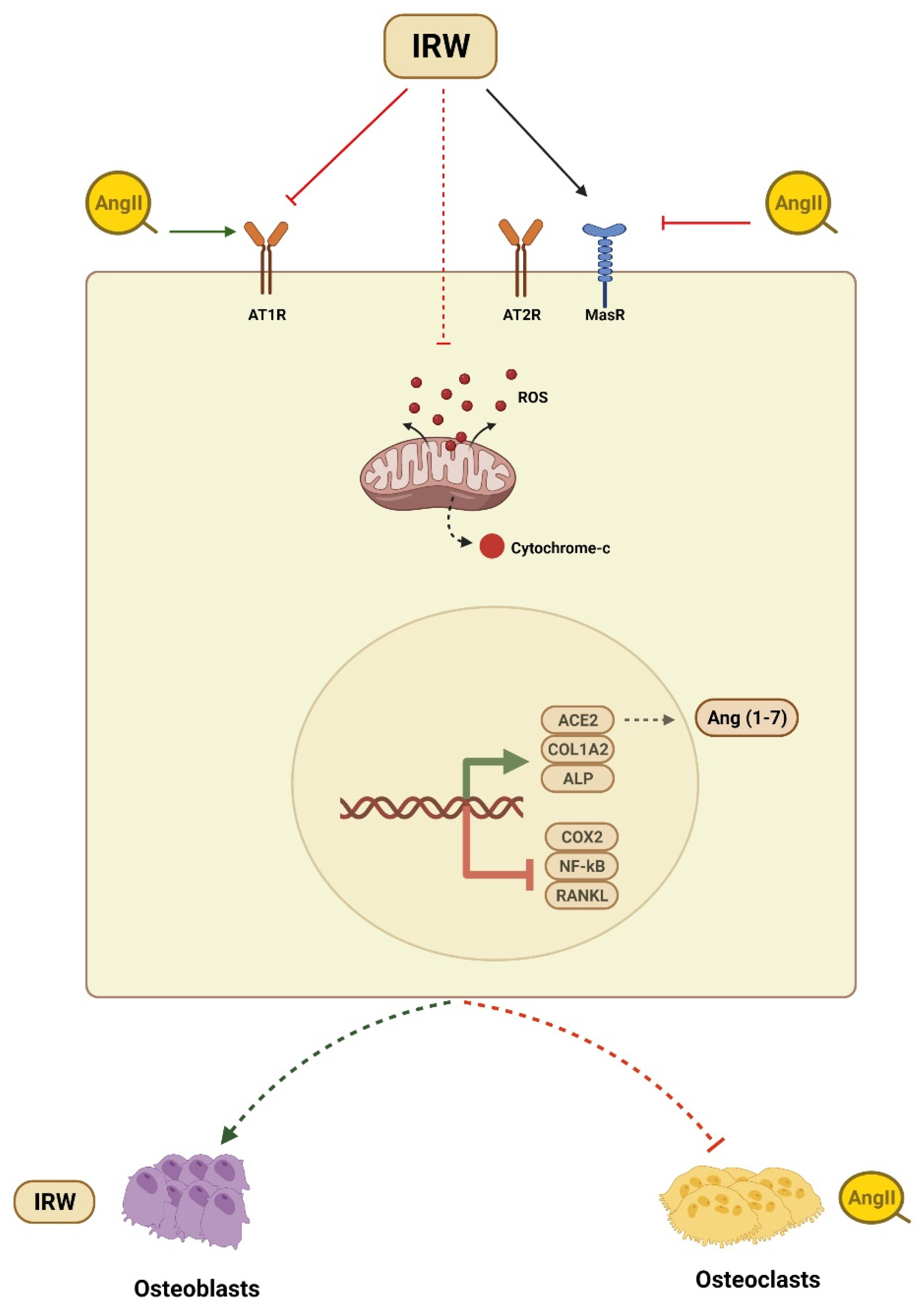 Molecules 27 03684 g006 550