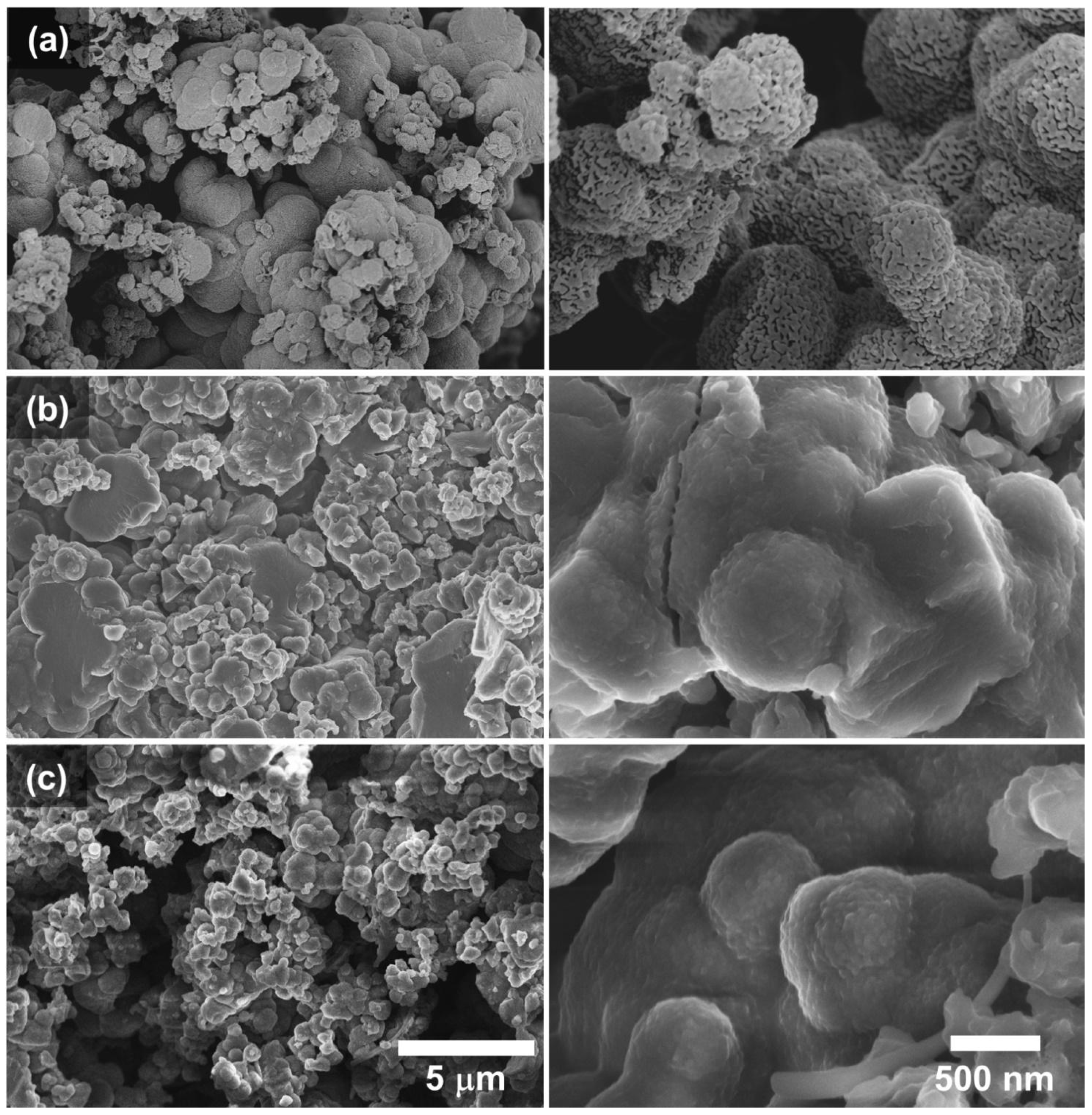 Molecules 27 03693 g005 Molecules 27 03693 g005