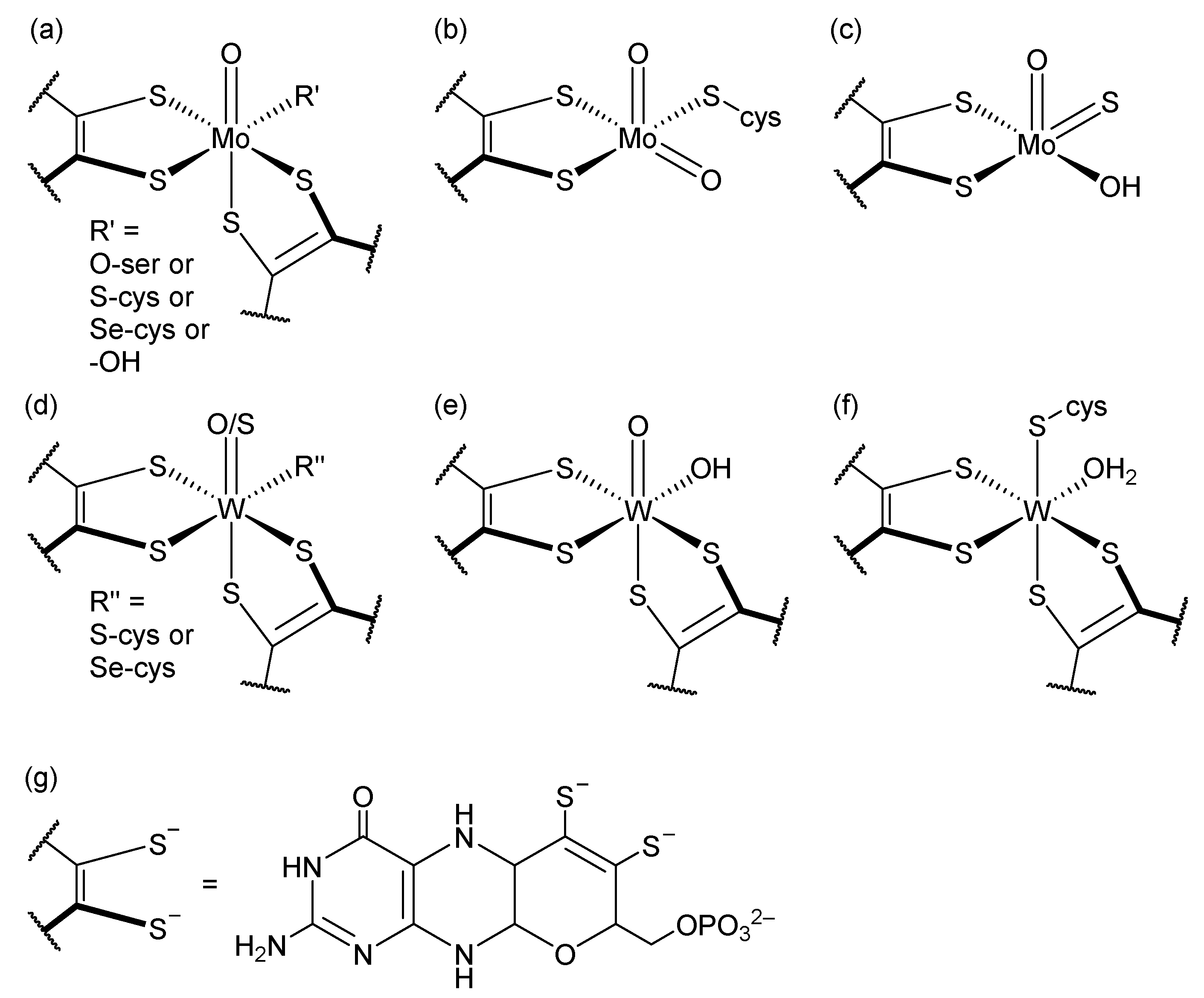 Molecules 27 03695 g002