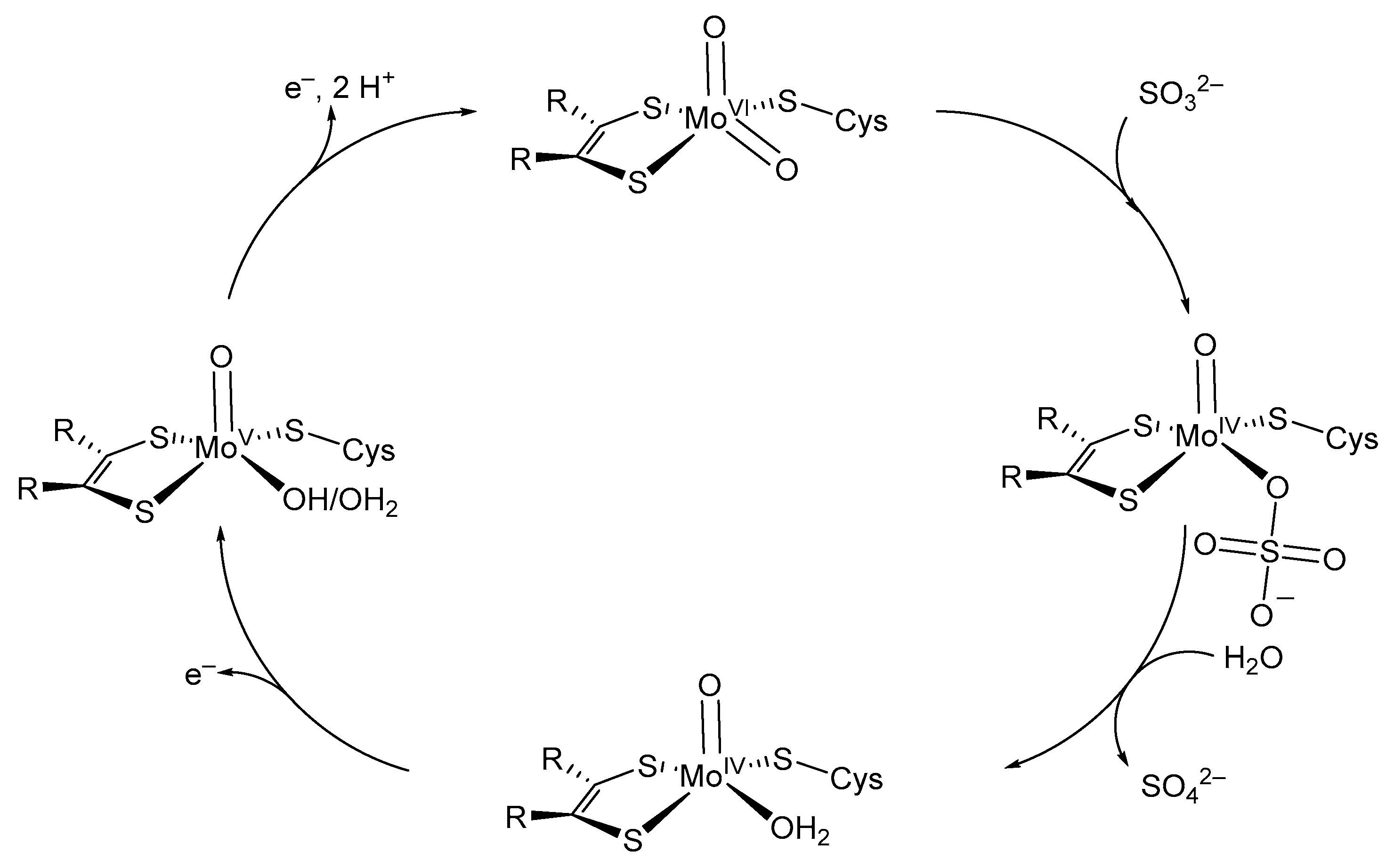 Molecules 27 03695 g003