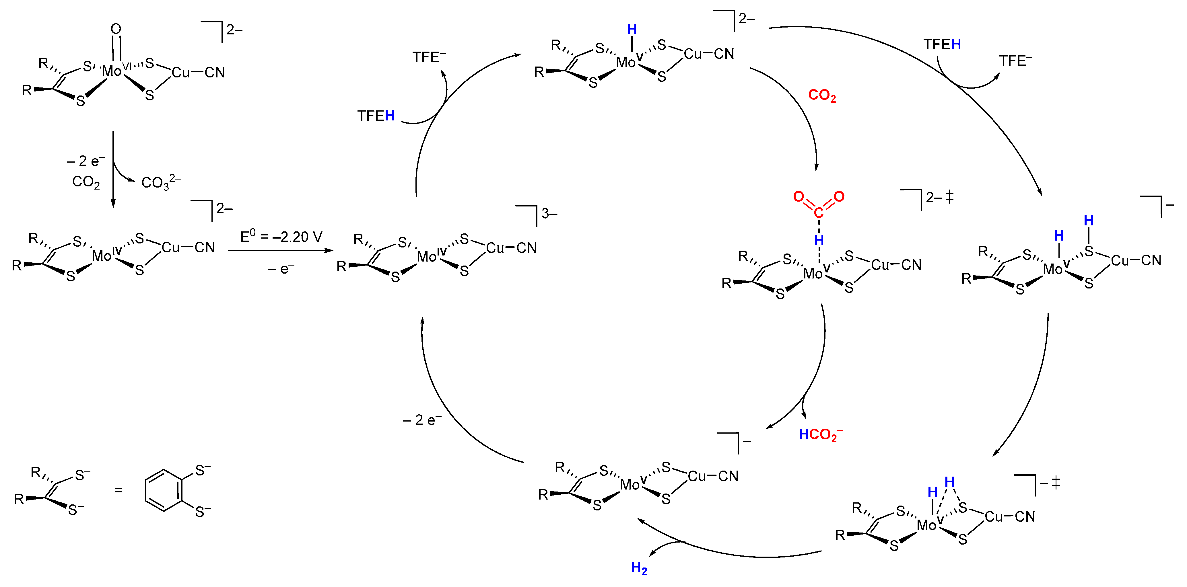 Molecules 27 03695 g009