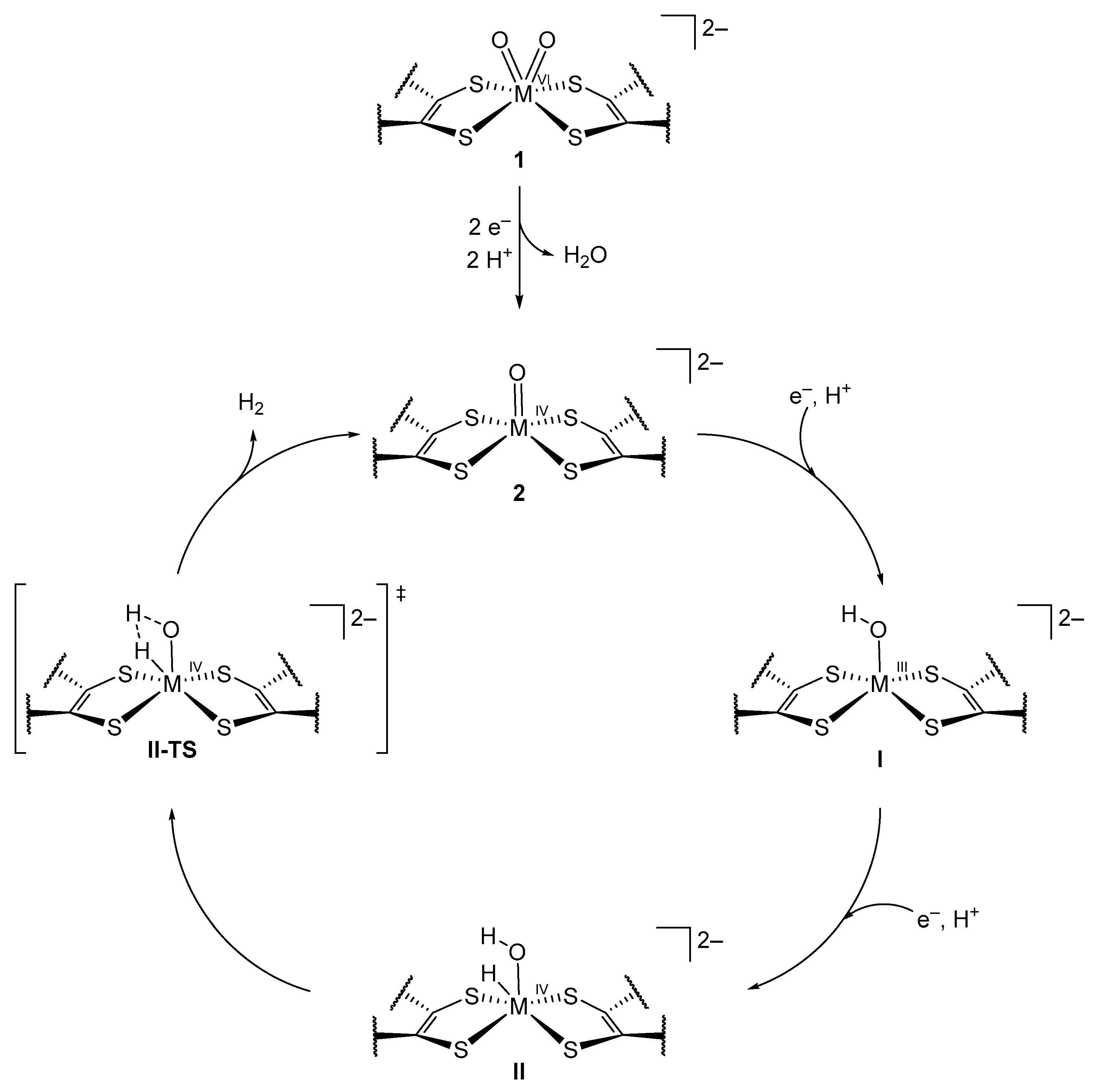Molecules 27 03695 g014