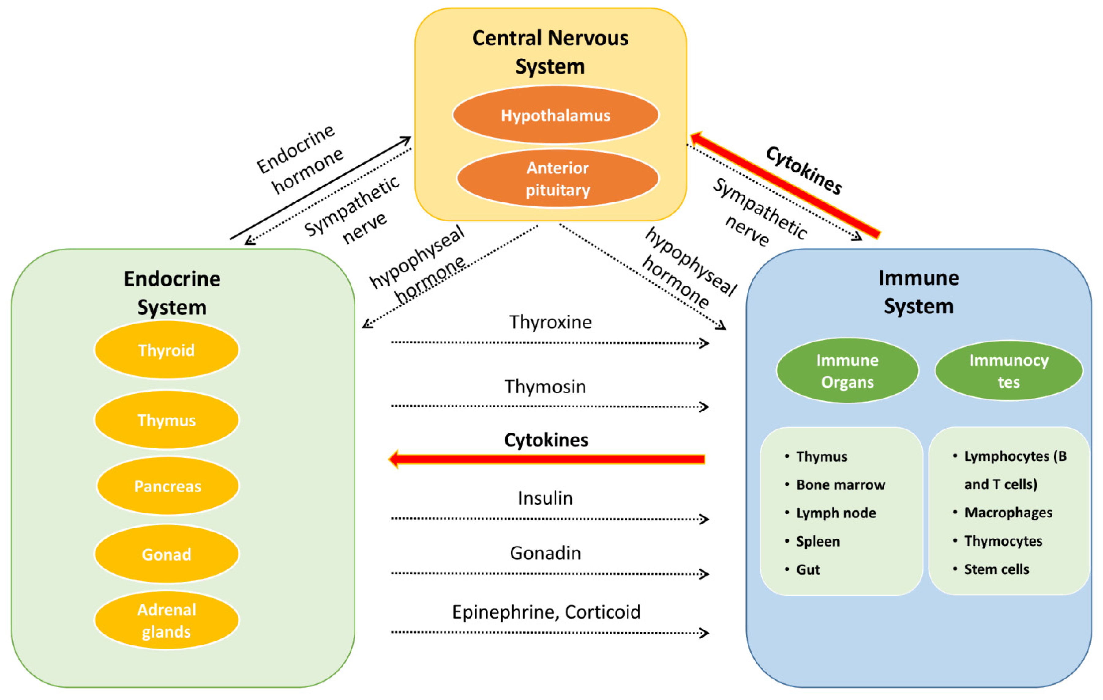 Molecules 27 03697 g002 Molecules 27 03697 g002