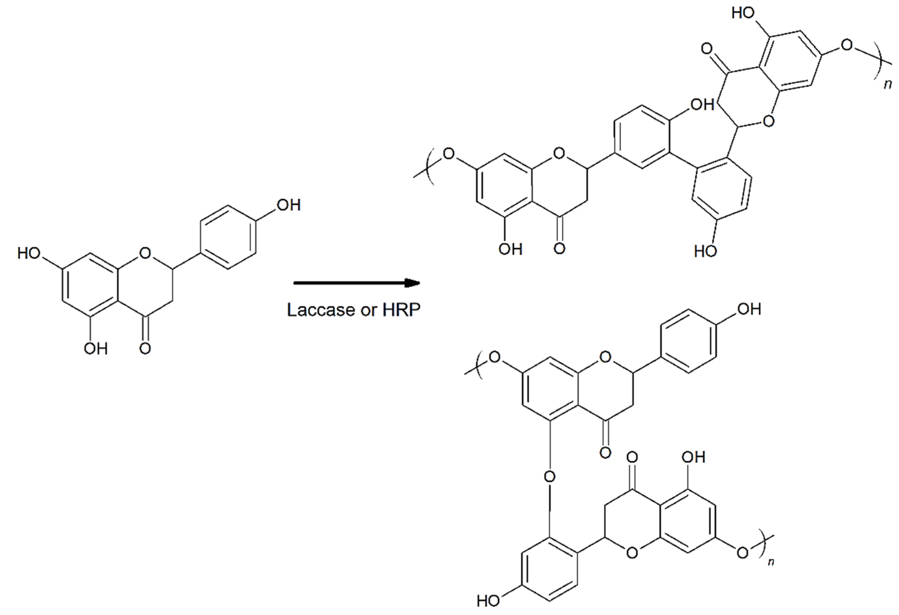 Molecules 27 03702 g003