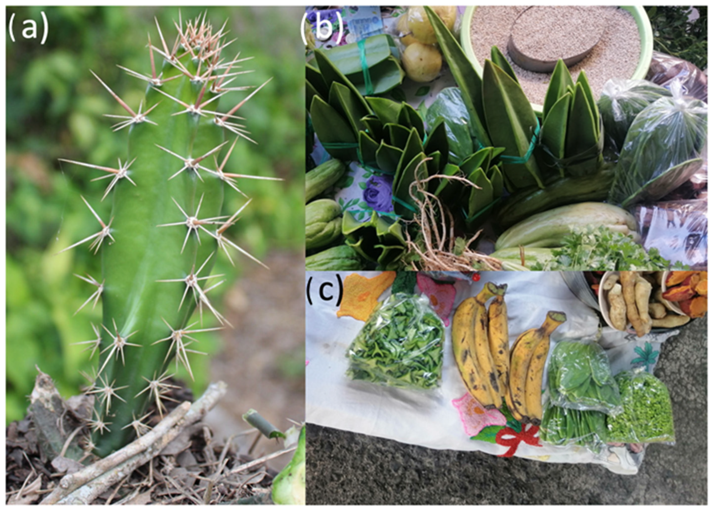 Molecules 27 03707 g001 550