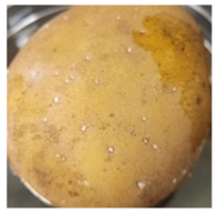 Molecules 27 03708 i002