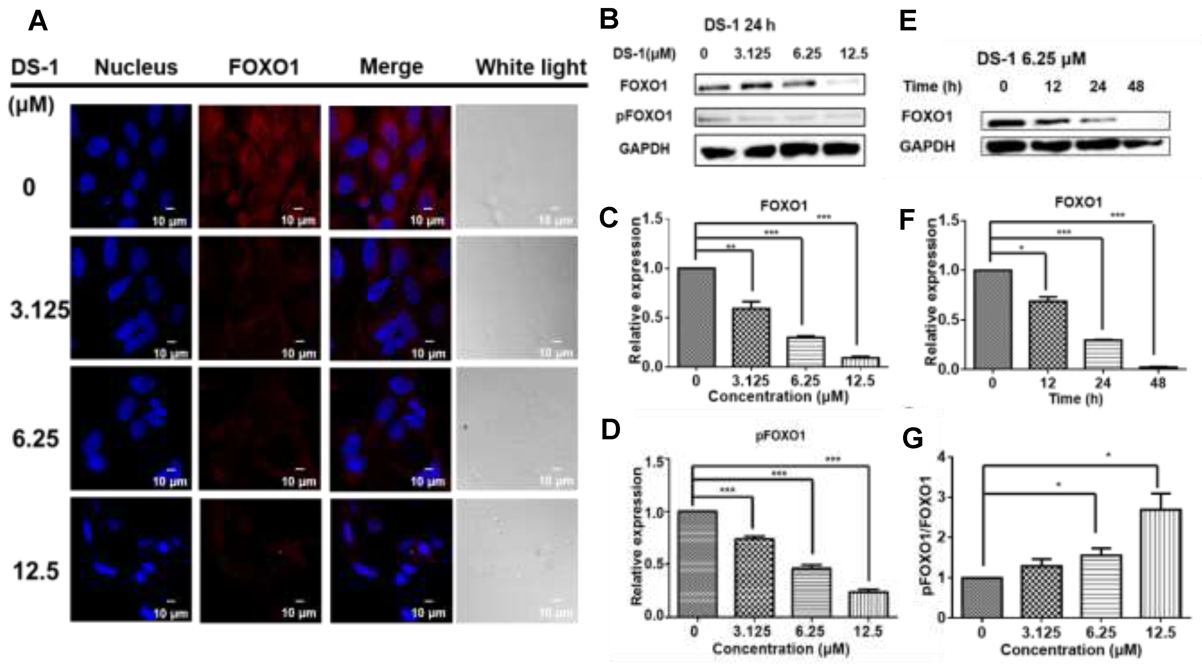 Molecules 27 03714 g003