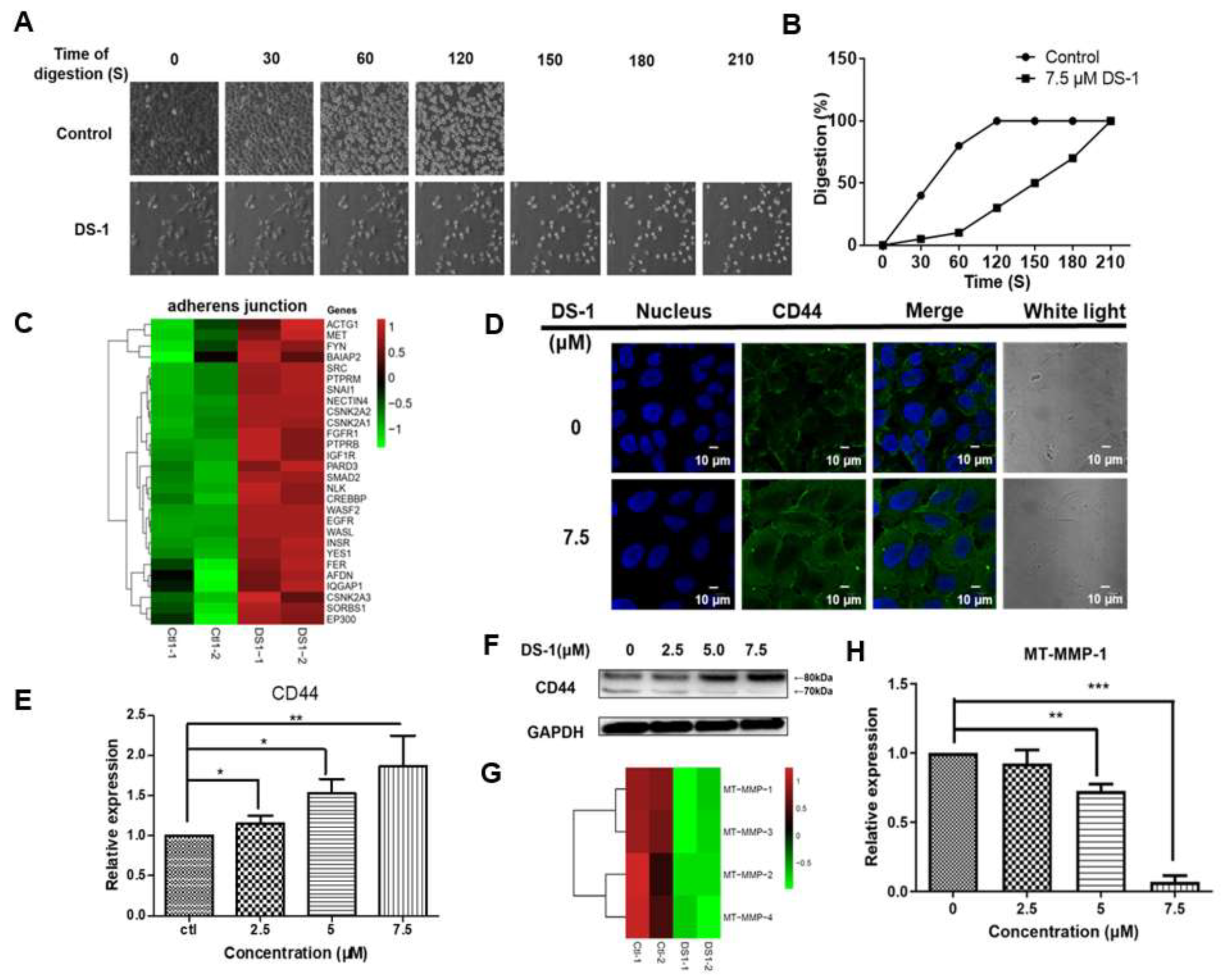 Molecules 27 03714 g007