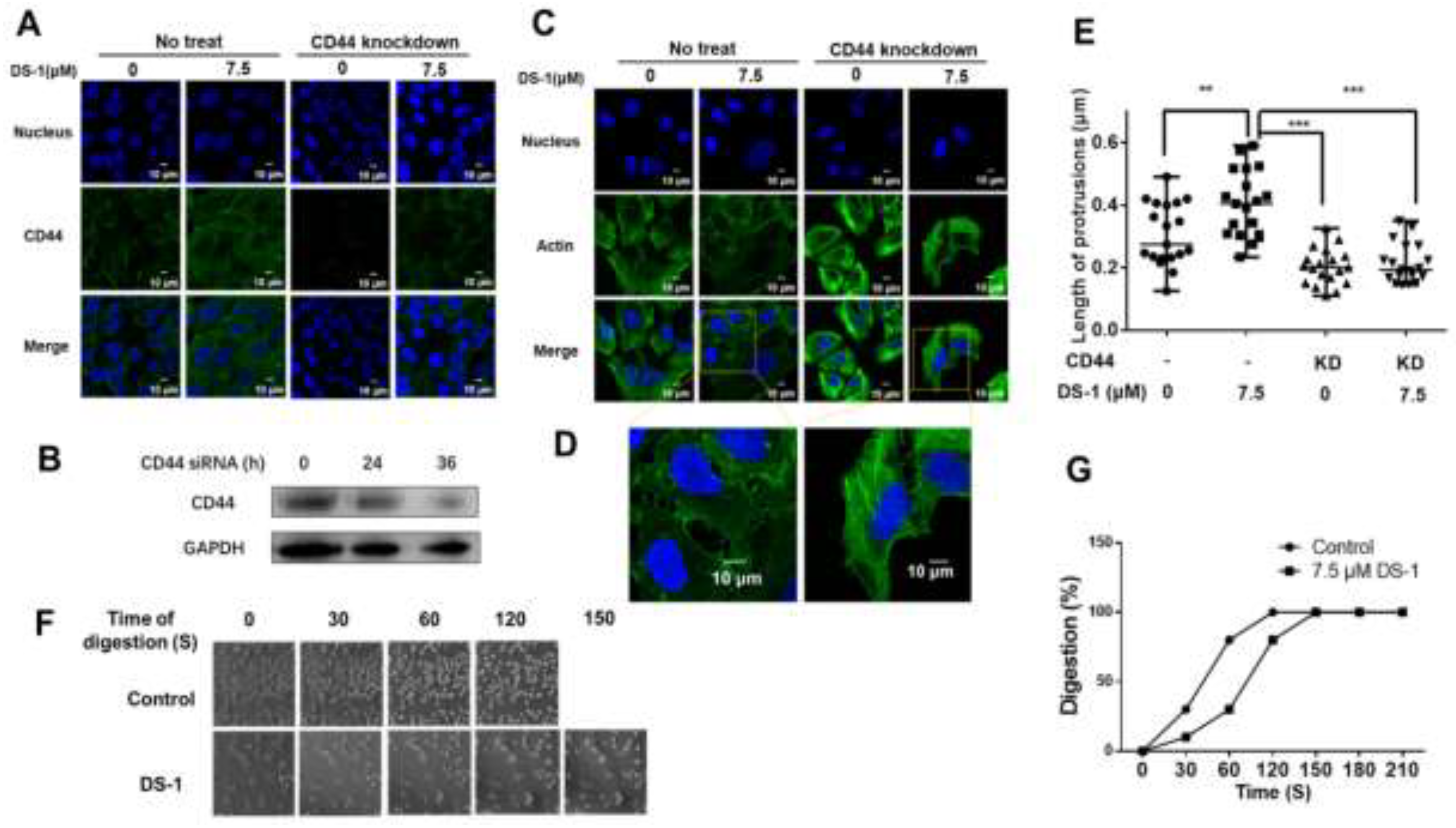 Molecules 27 03714 g008