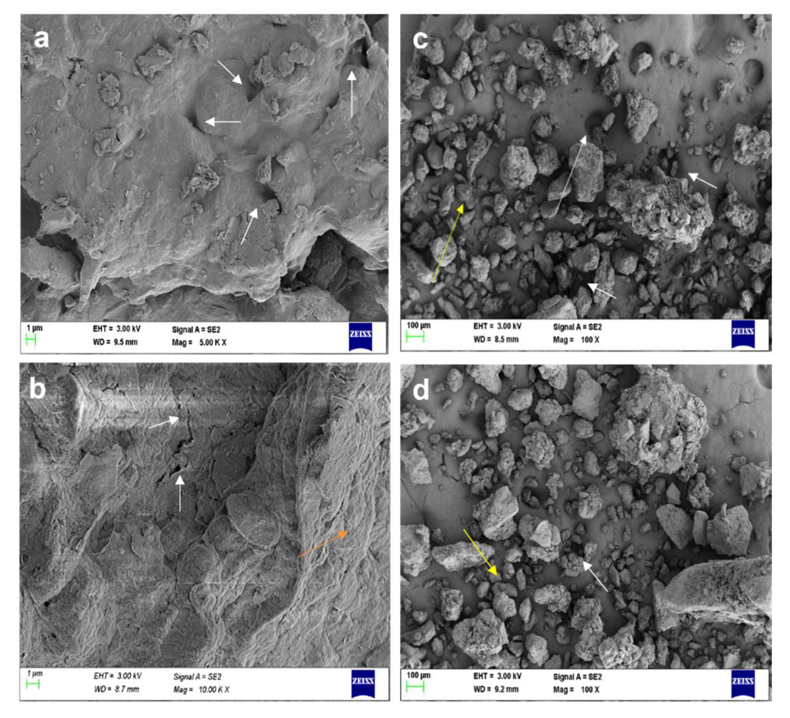 Molecules 27 03720 g011a Molecules 27 03720 g011a