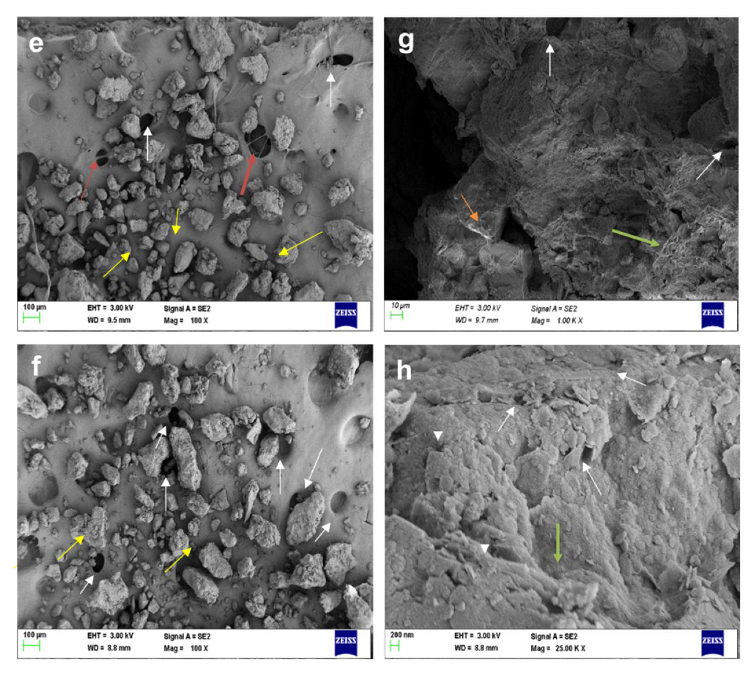 Molecules 27 03720 g011b Molecules 27 03720 g011b