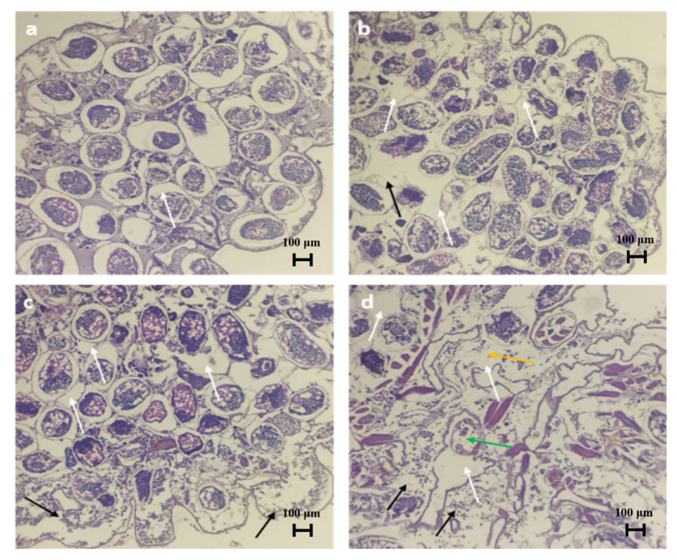Molecules 27 03720 g013 Molecules 27 03720 g013