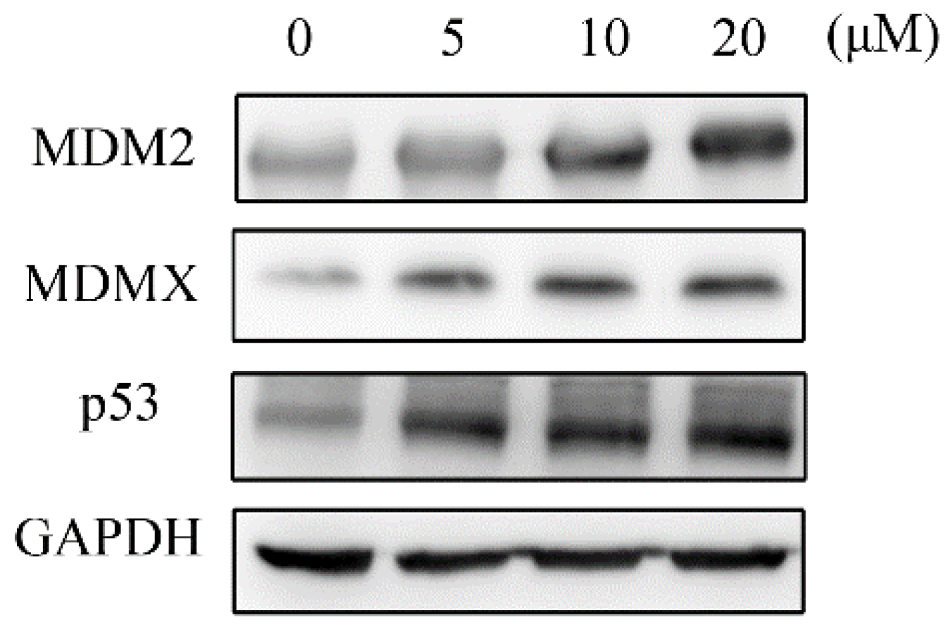 Molecules 27 03721 g003 550