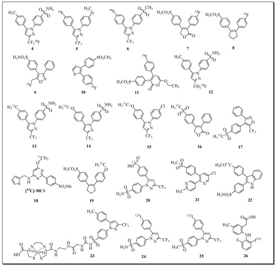 Molecules | Free Full-Text | Fluorine-18 Labelled Radioligands for 