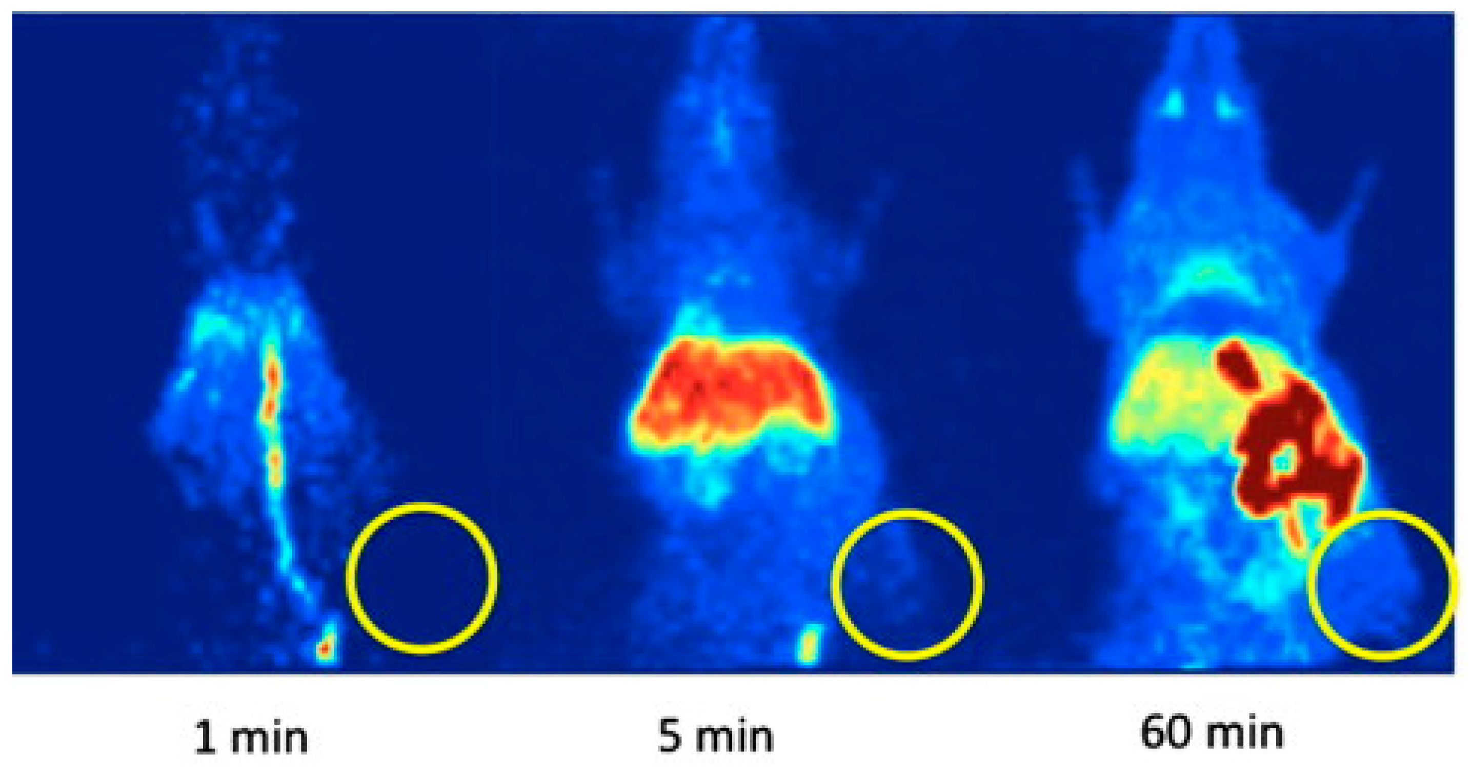Molecules 27 03722 g005