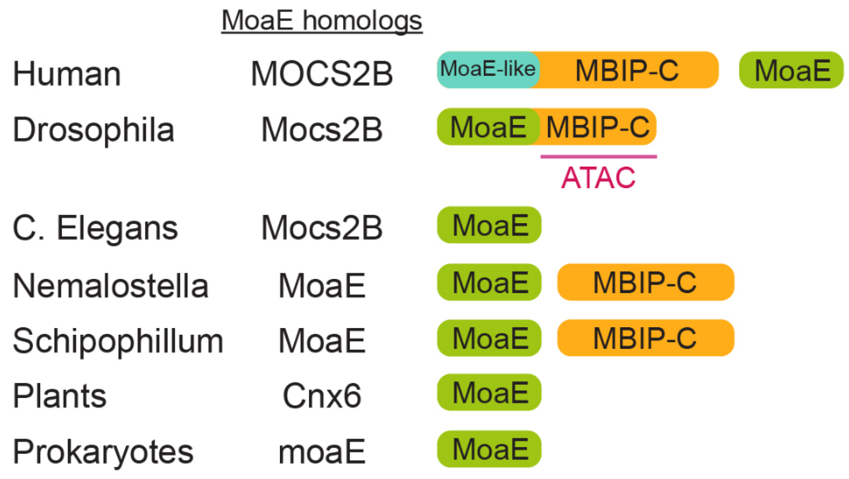 Molecules 27 03733 g001 Molecules 27 03733 g001