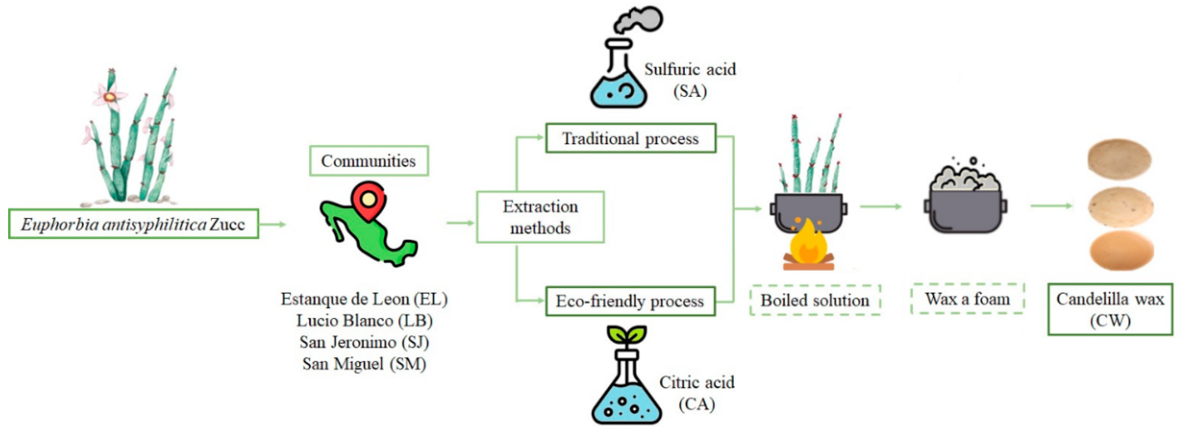 Molecules 27 03735 g005 Molecules 27 03735 g005