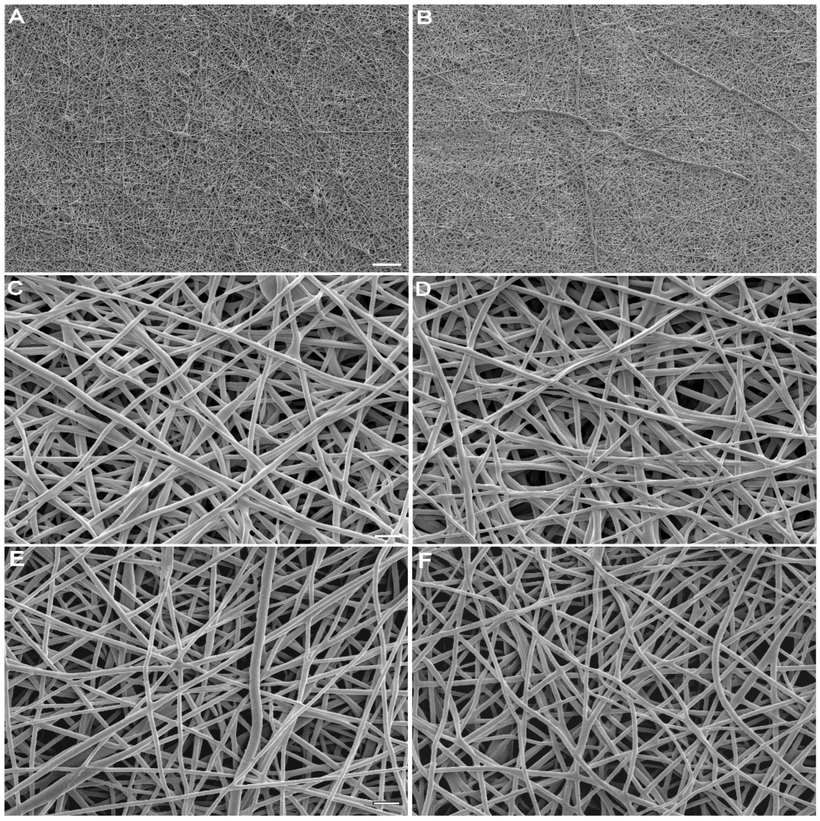 Molecules 27 03739 g001 550