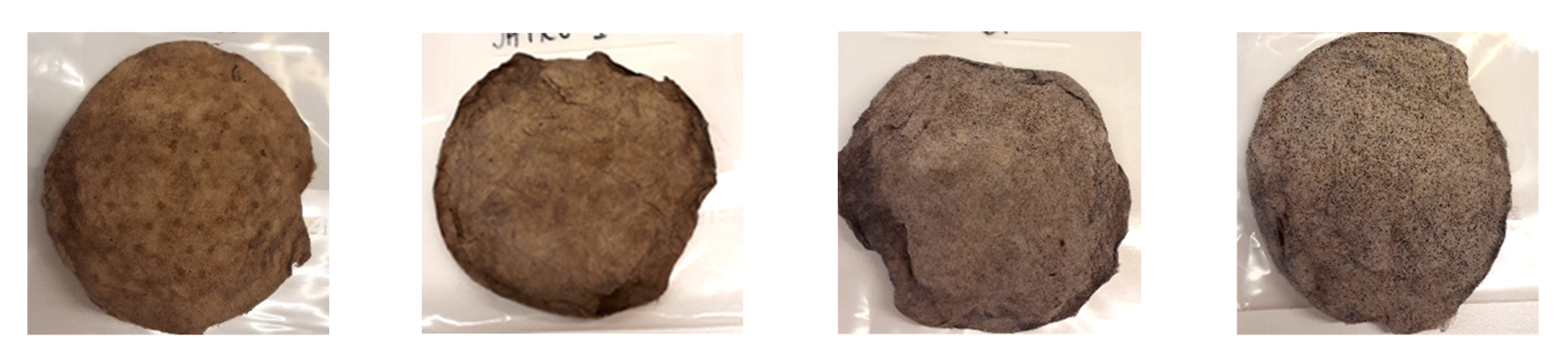 Molecules 27 03741 g004a