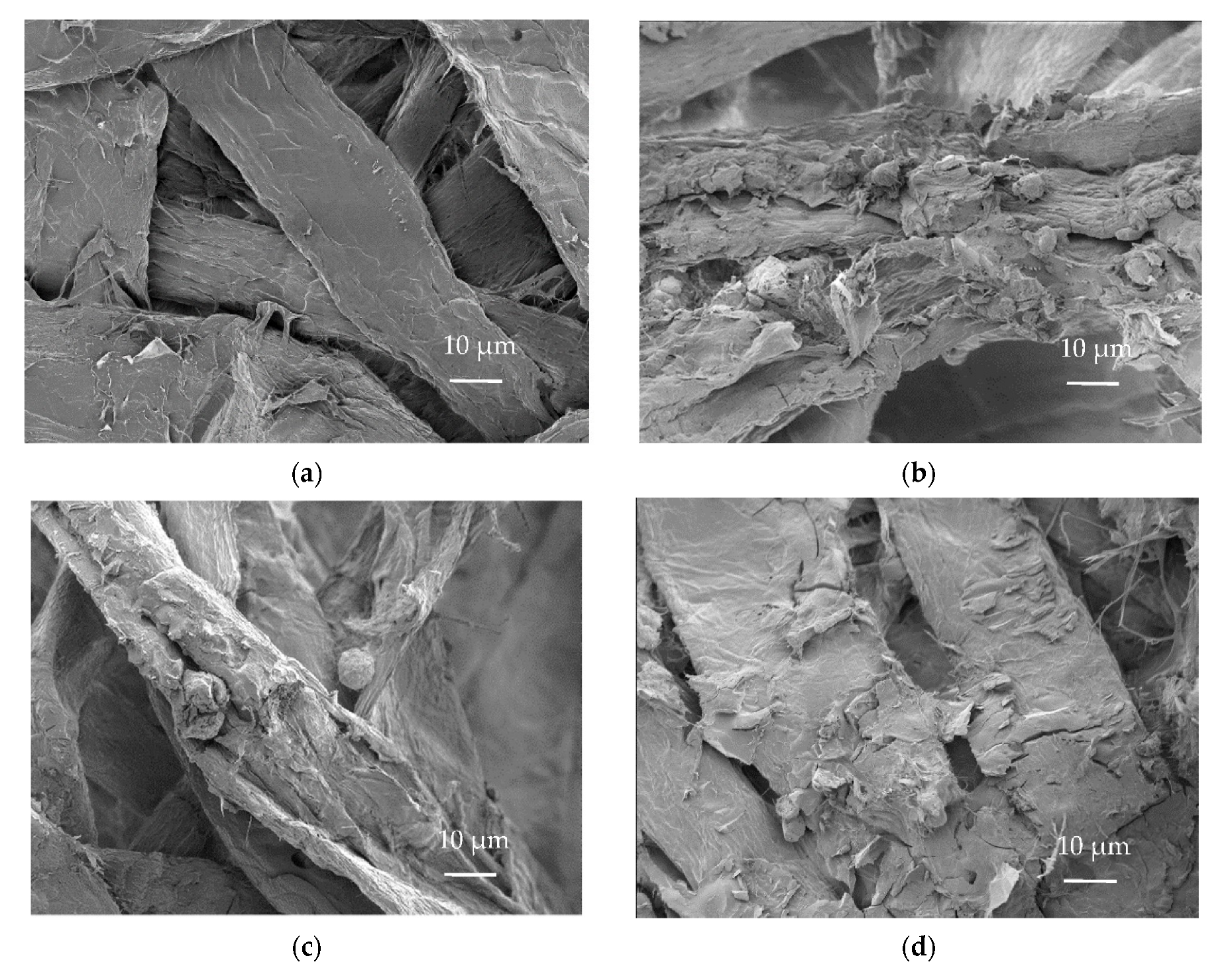 Molecules 27 03741 g005a