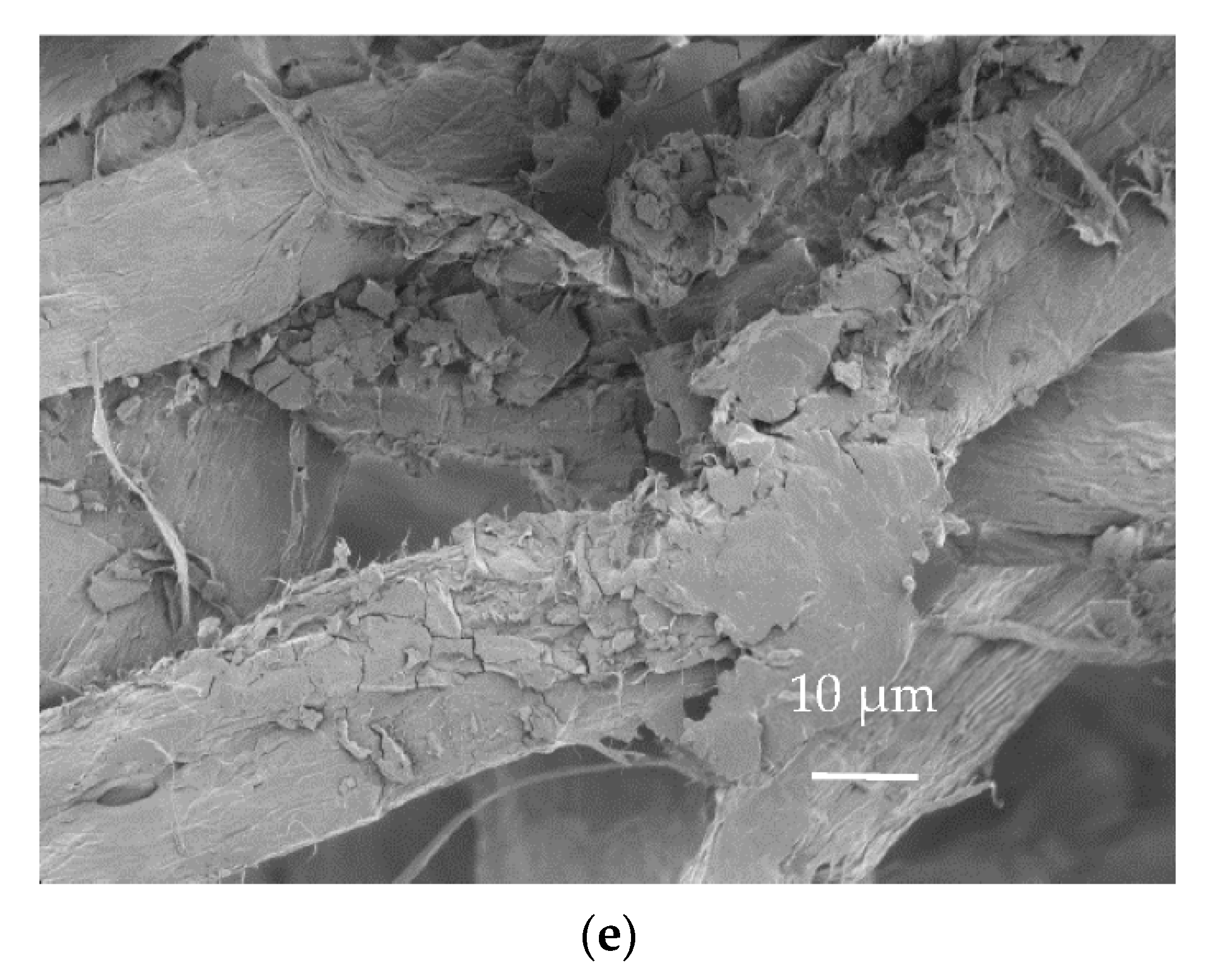 Molecules 27 03741 g005b