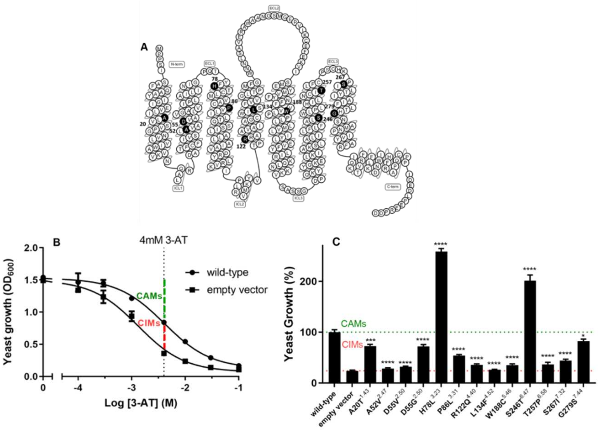 Molecules 27 03742 g001