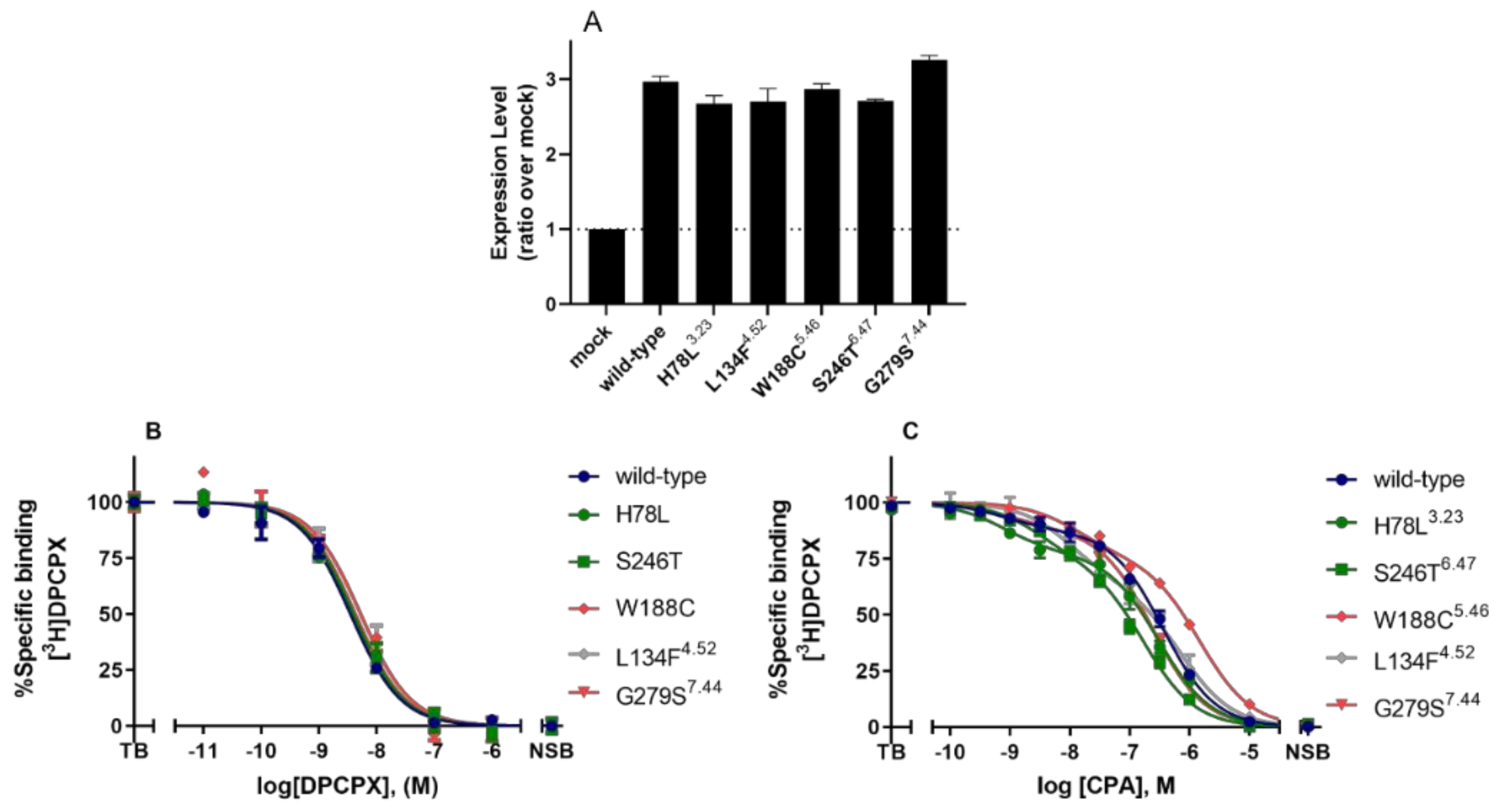 Molecules 27 03742 g004