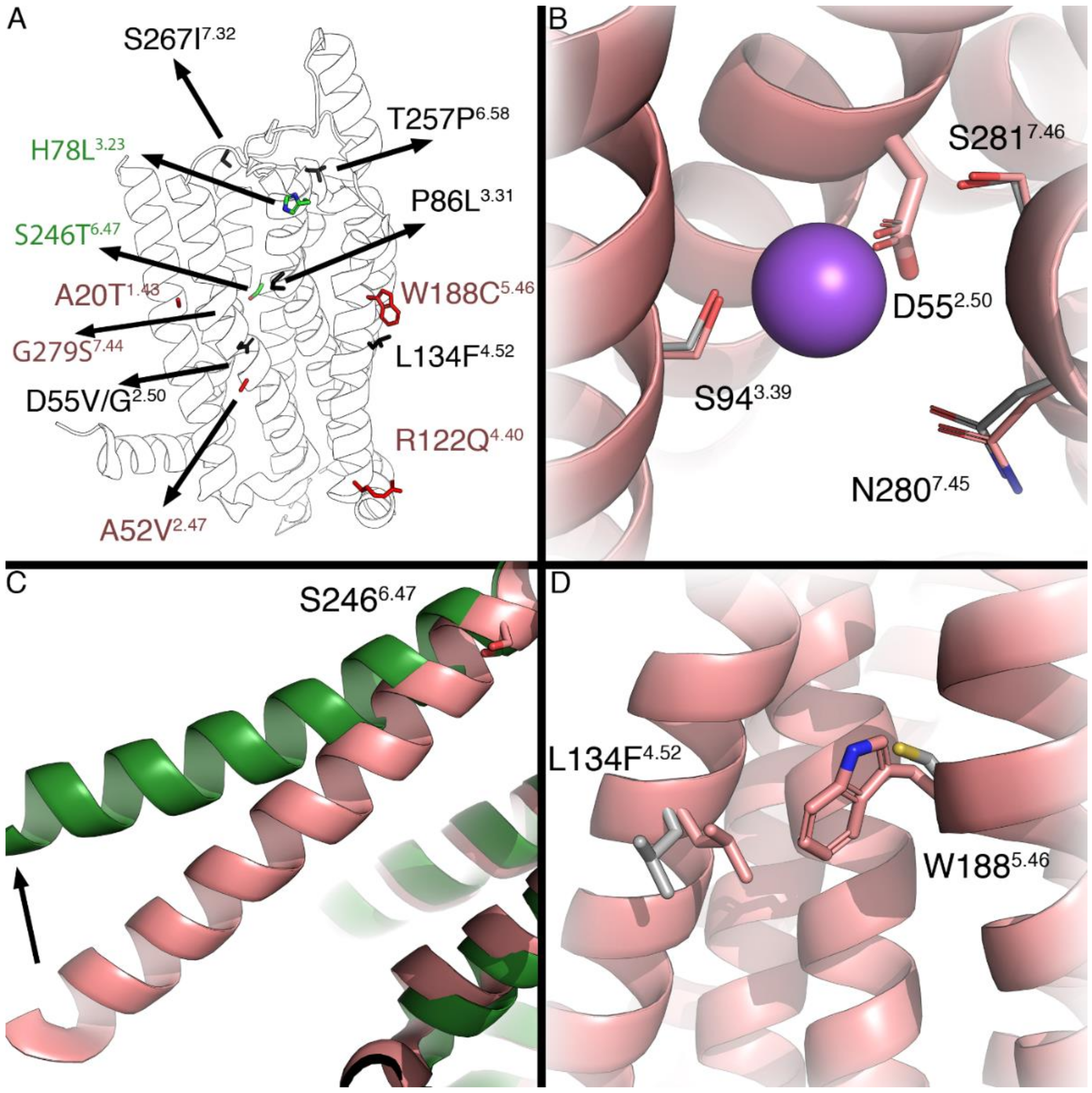 Molecules 27 03742 g006