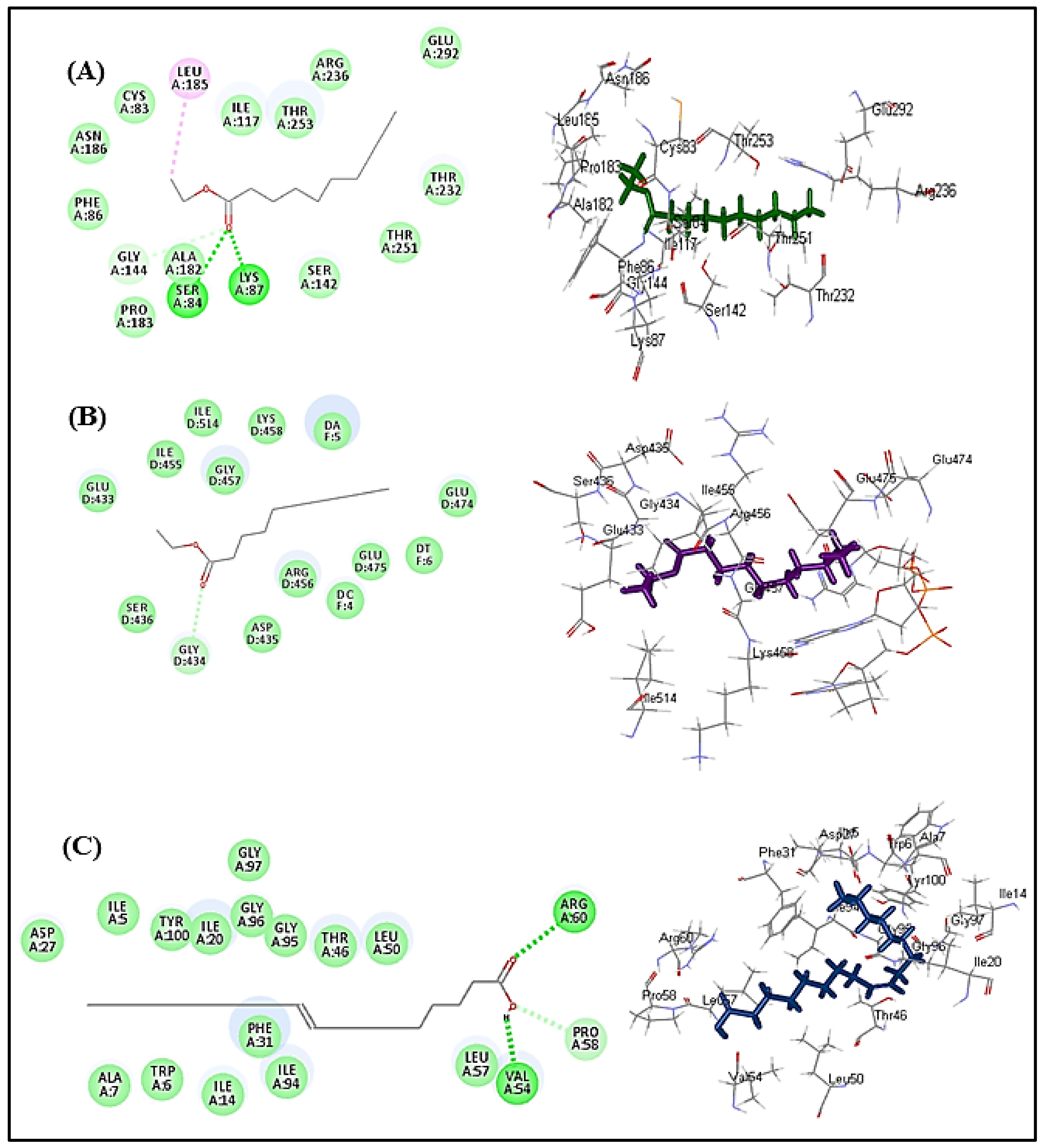 Molecules 27 03744 g005