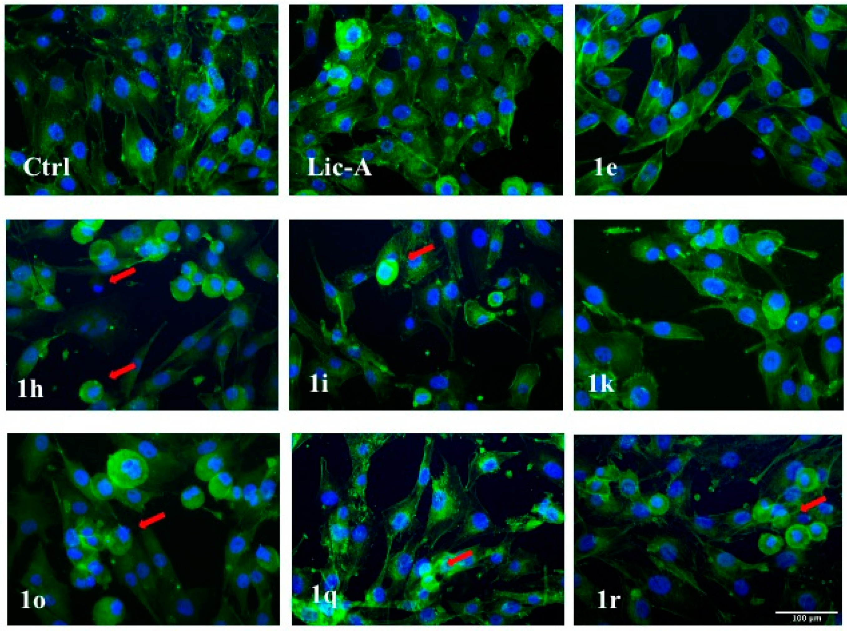 Molecules 27 03751 g007 550