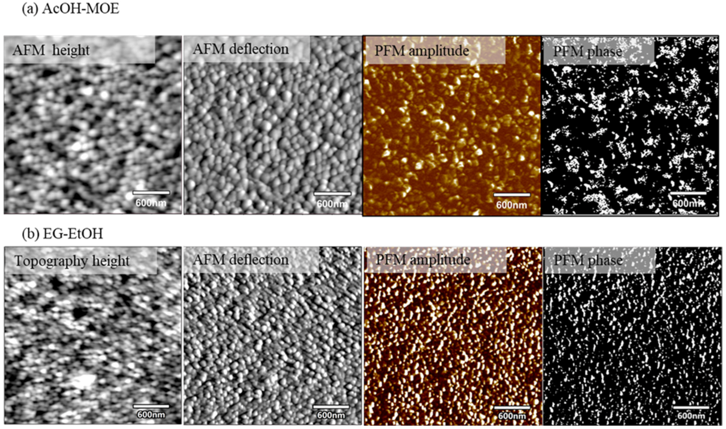 Molecules 27 03753 g011 550