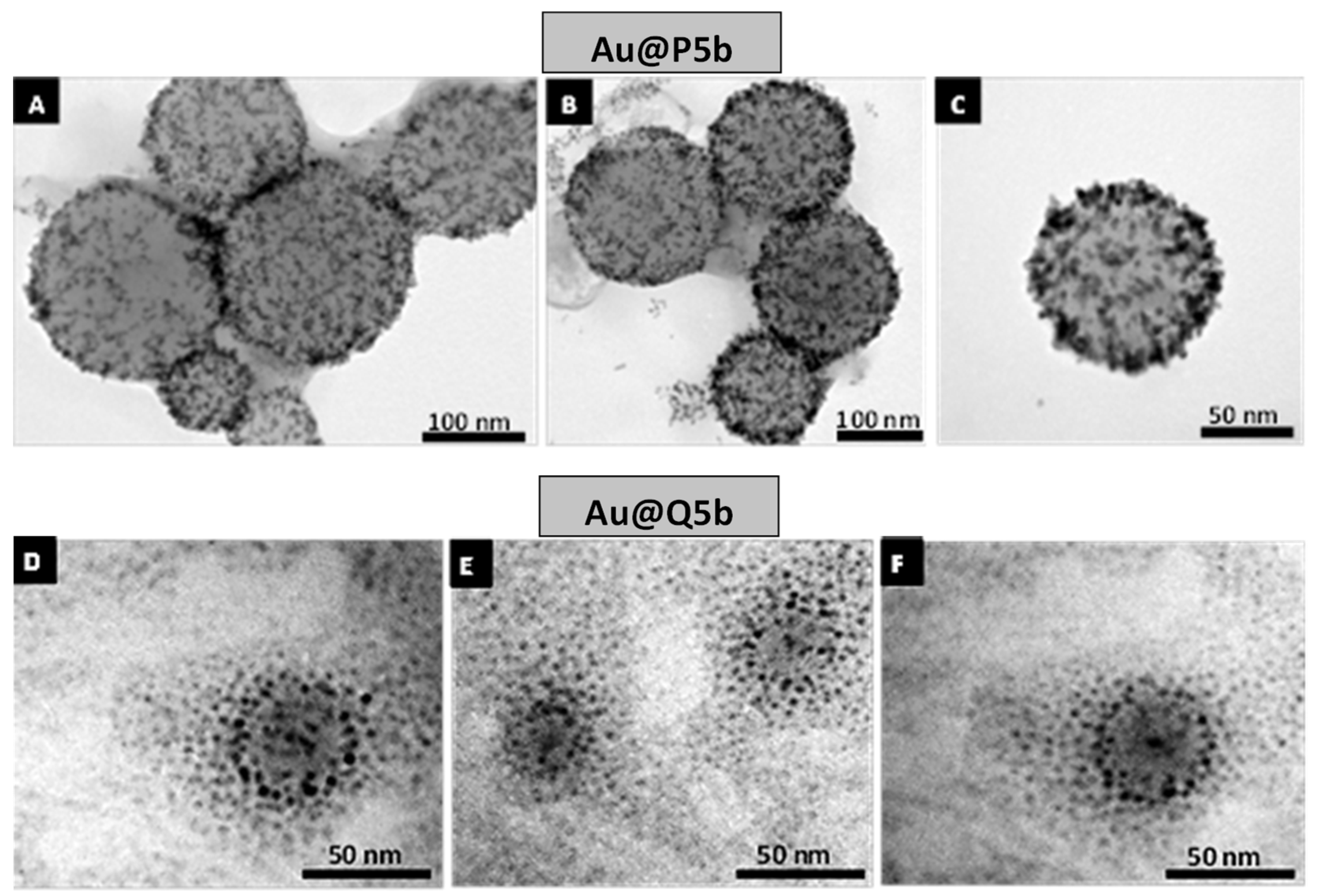 Molecules 27 03764 g002 Molecules 27 03764 g002