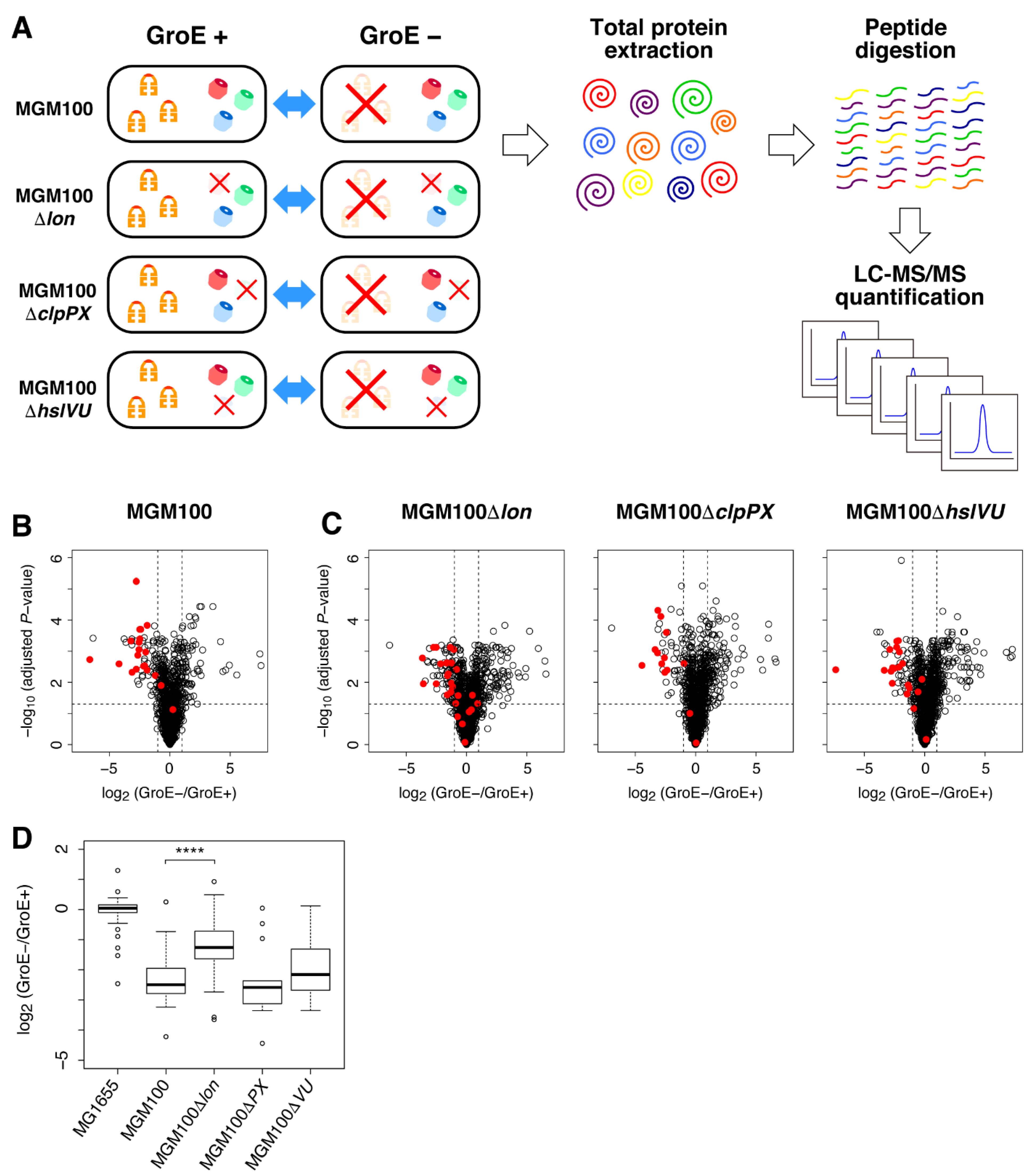 Molecules 27 03772 g001